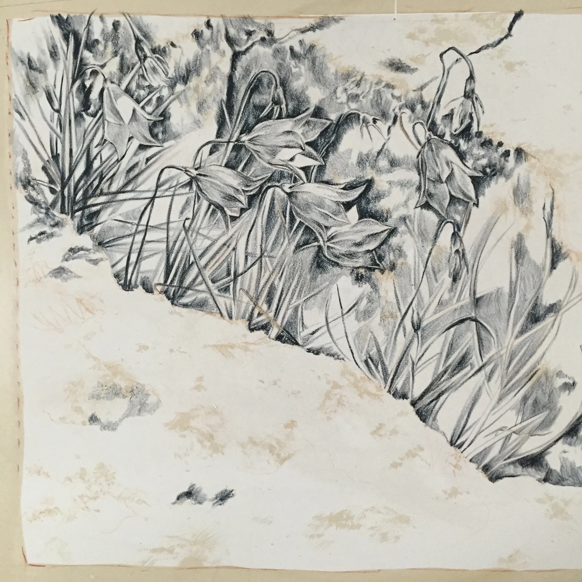 initial drawing on stone