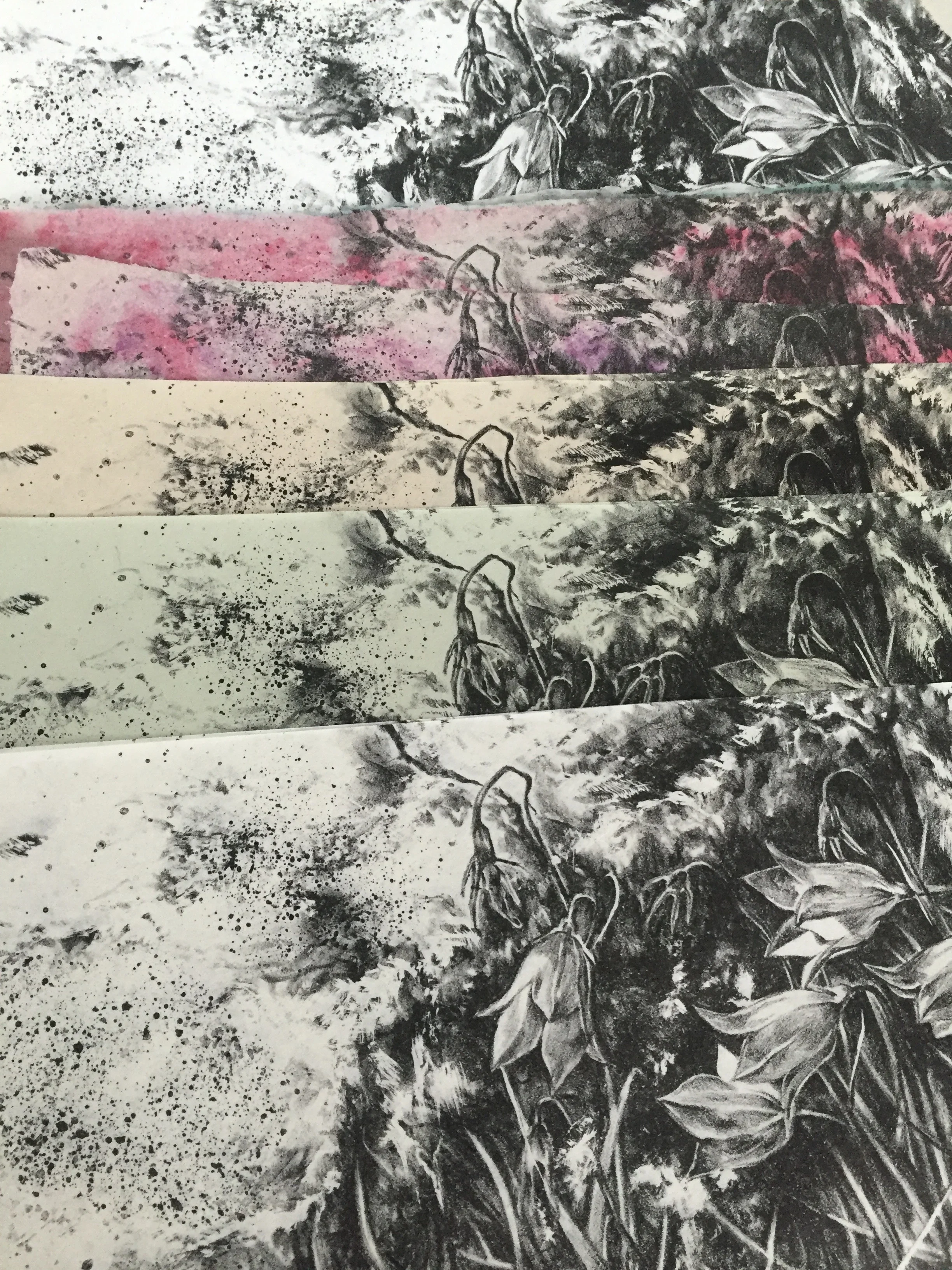 assorted Japanese and Canadian handmade papers