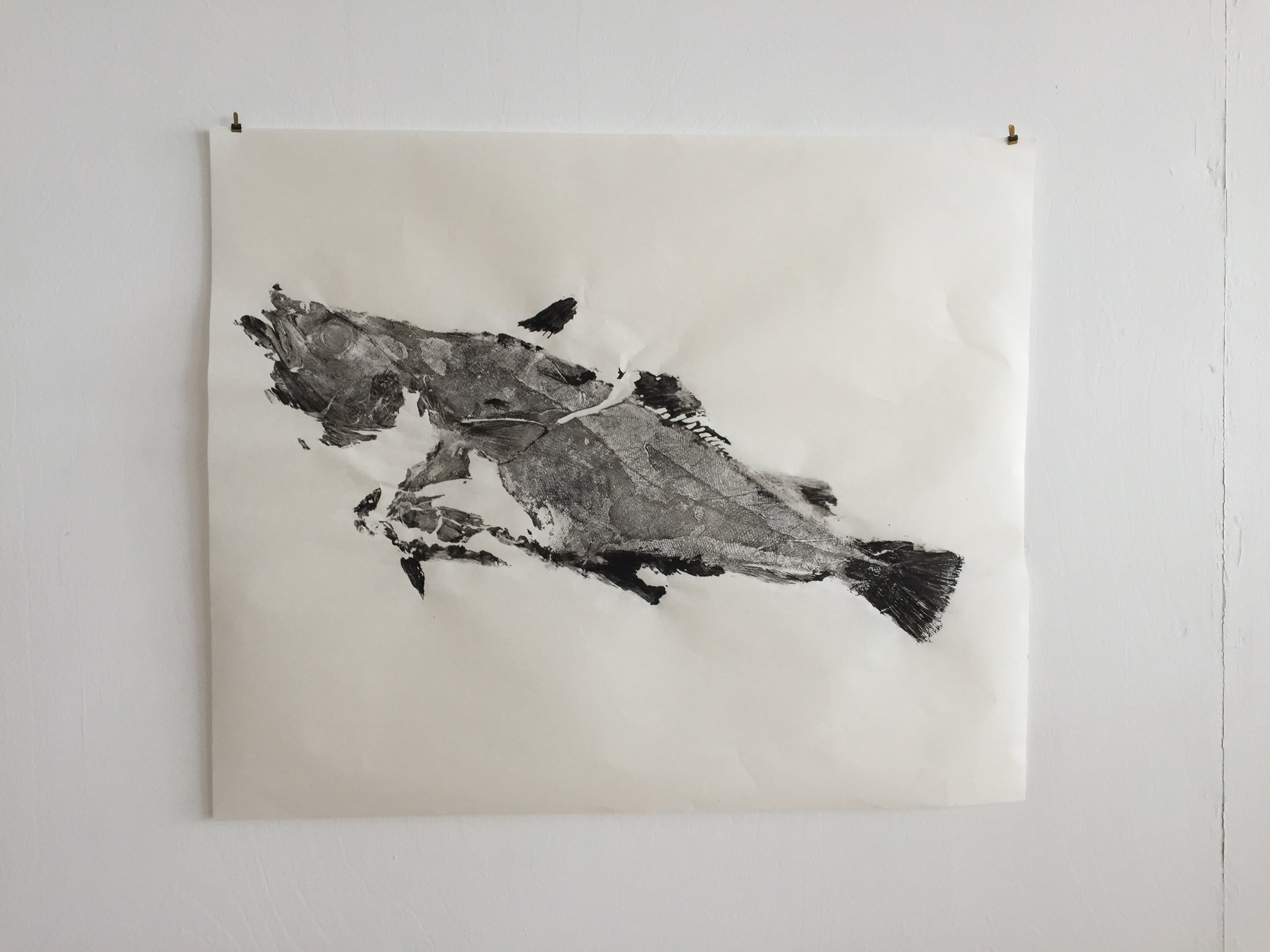 Cod Gyotaku 魚拓 — Amy Suzuki