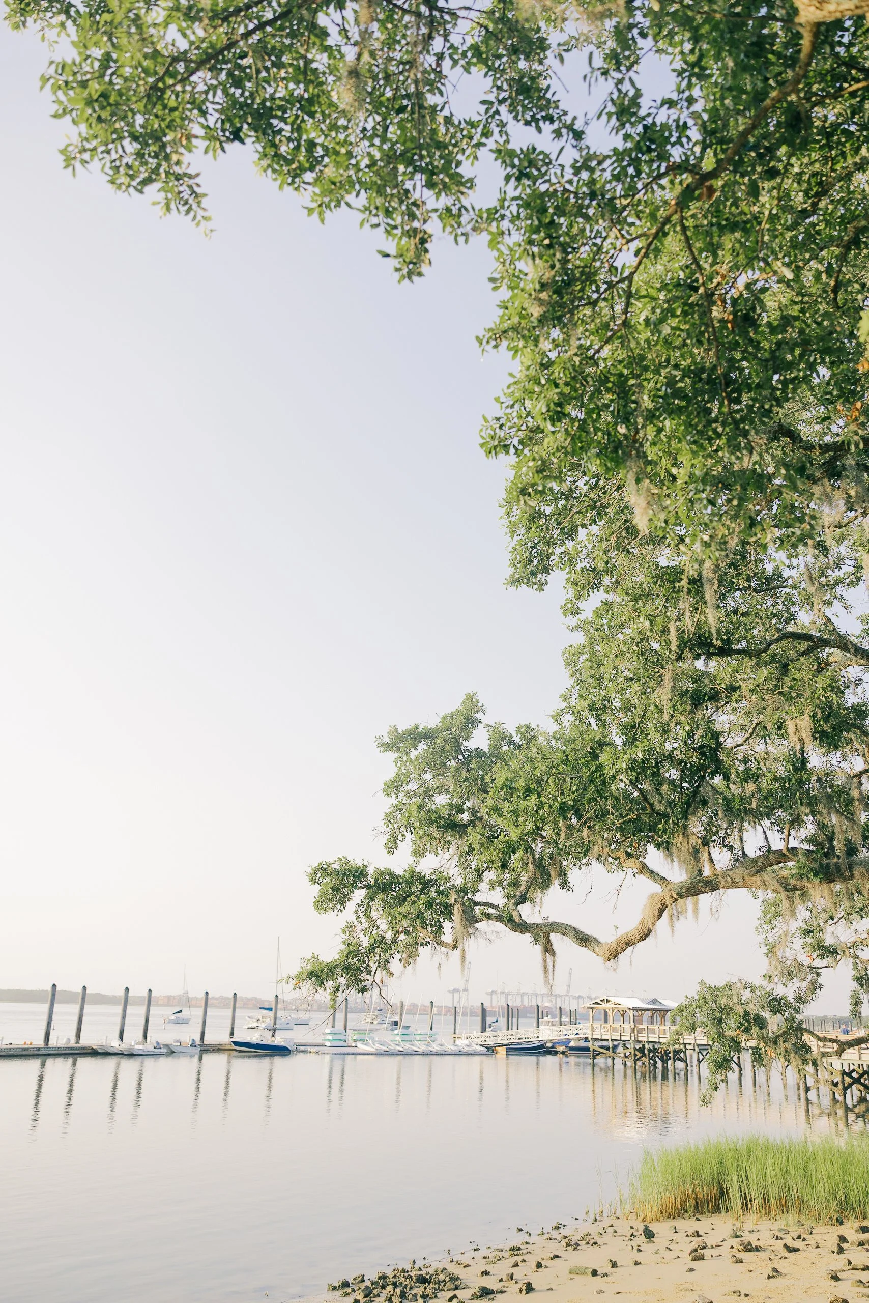 Charleston Family Photographer Ellen Peek