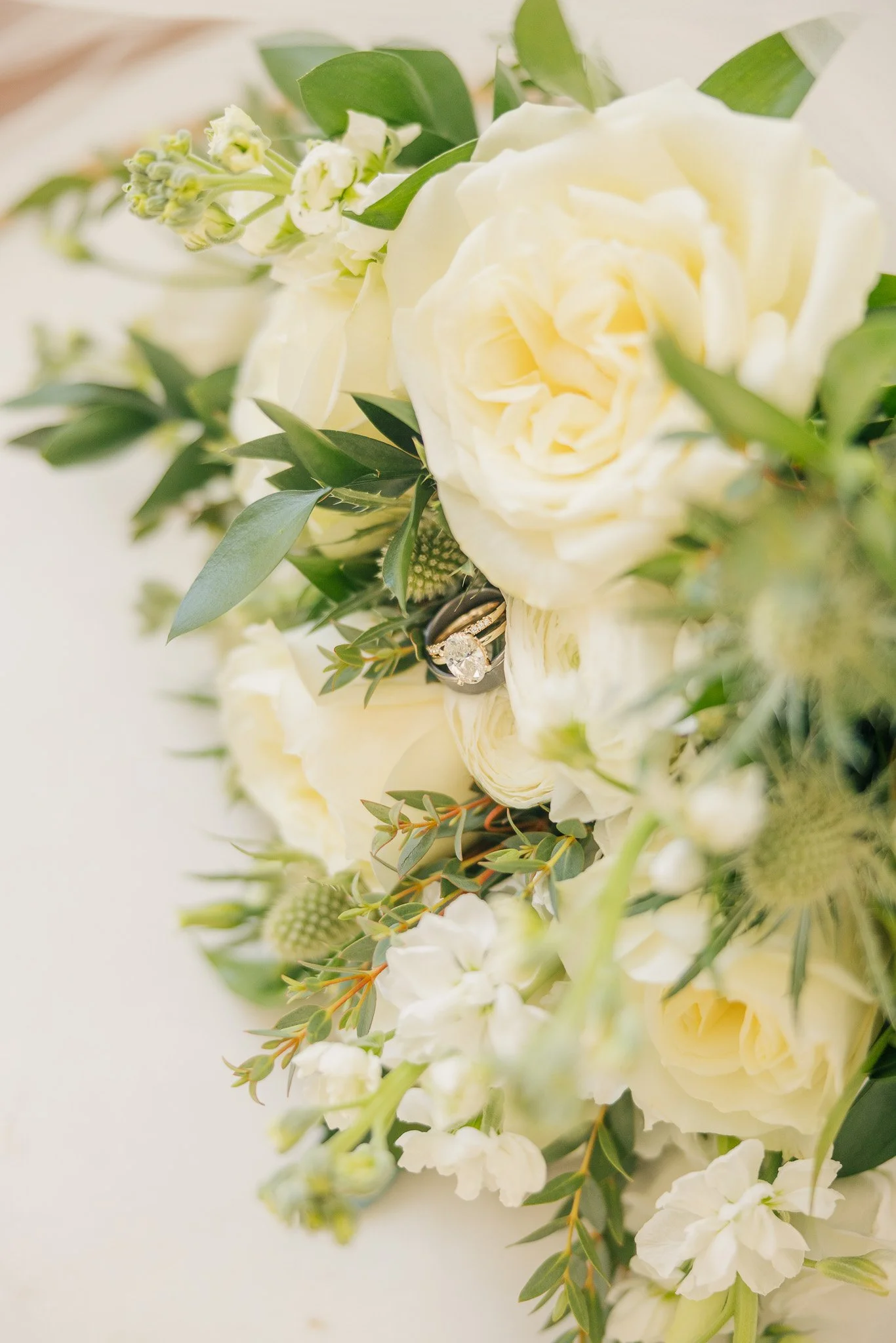 12124 favorites (10 of 80).jpg