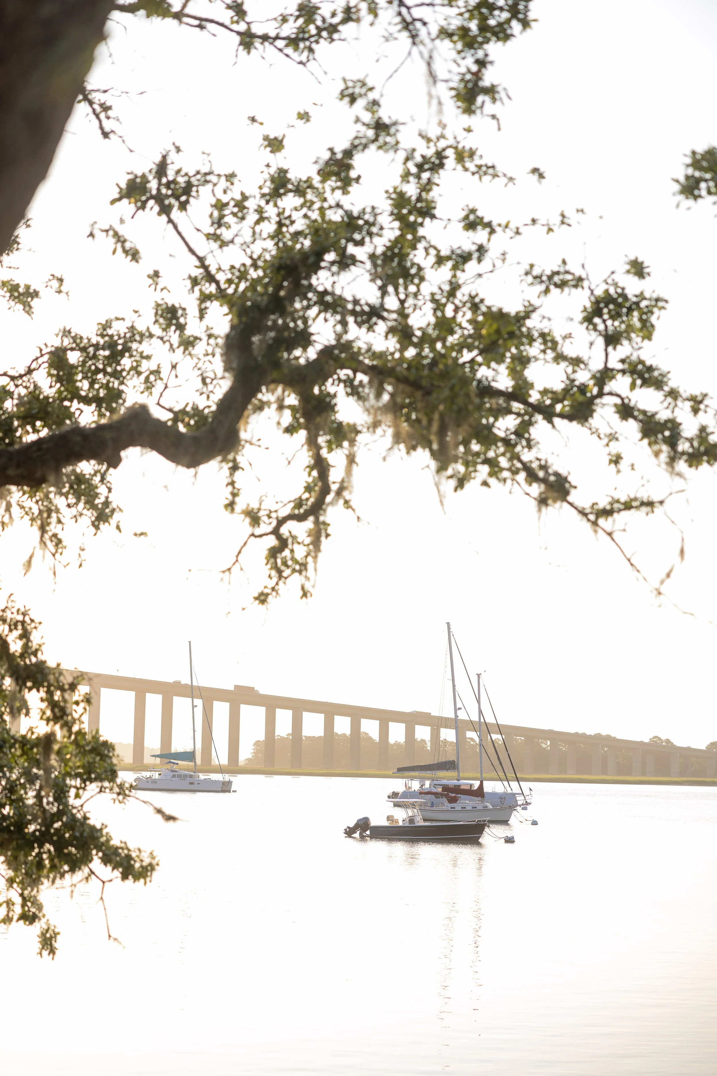 Boats anchored on calm water with a large bridge in the background, seen through tree branches.
