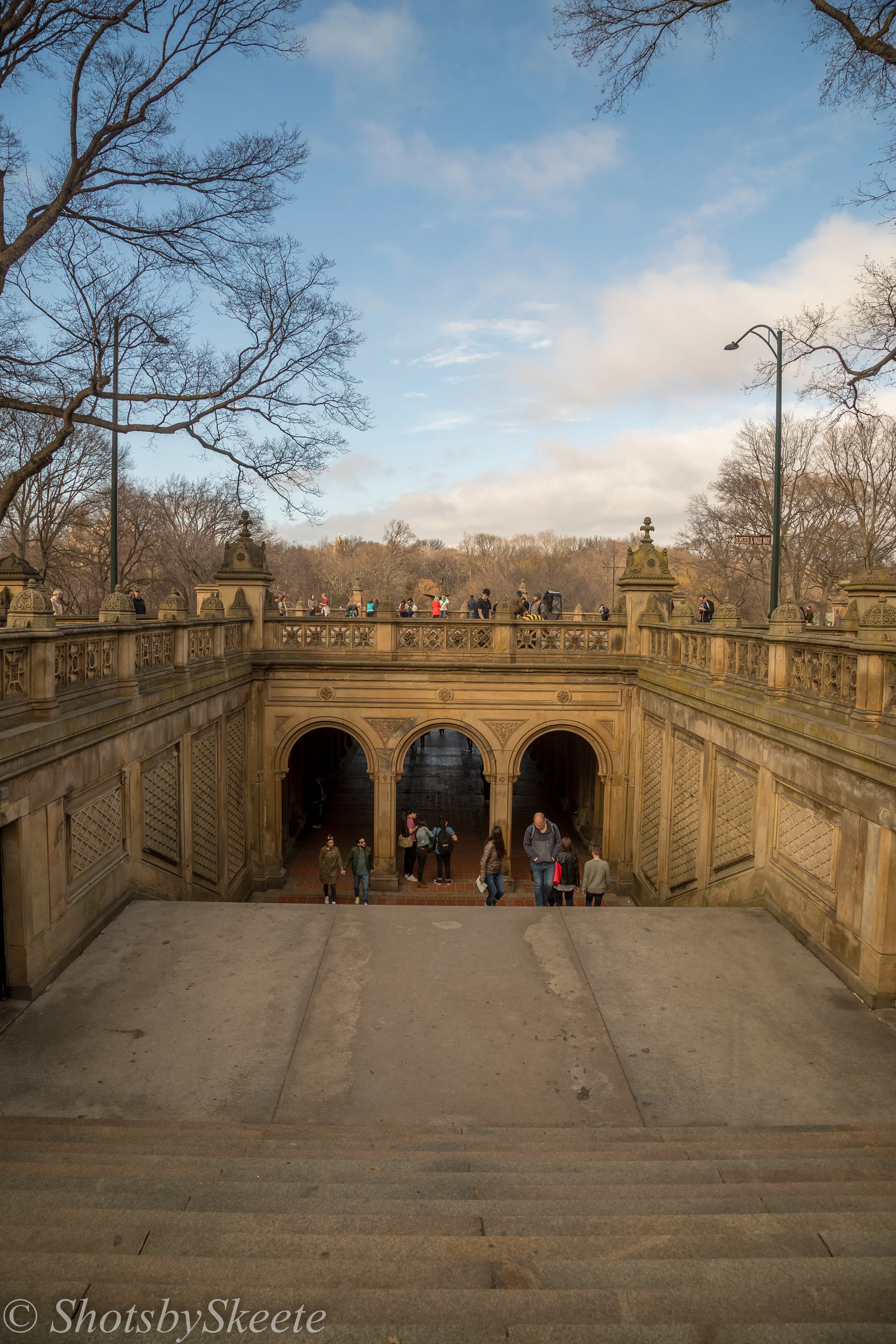Central Park-7.jpg
