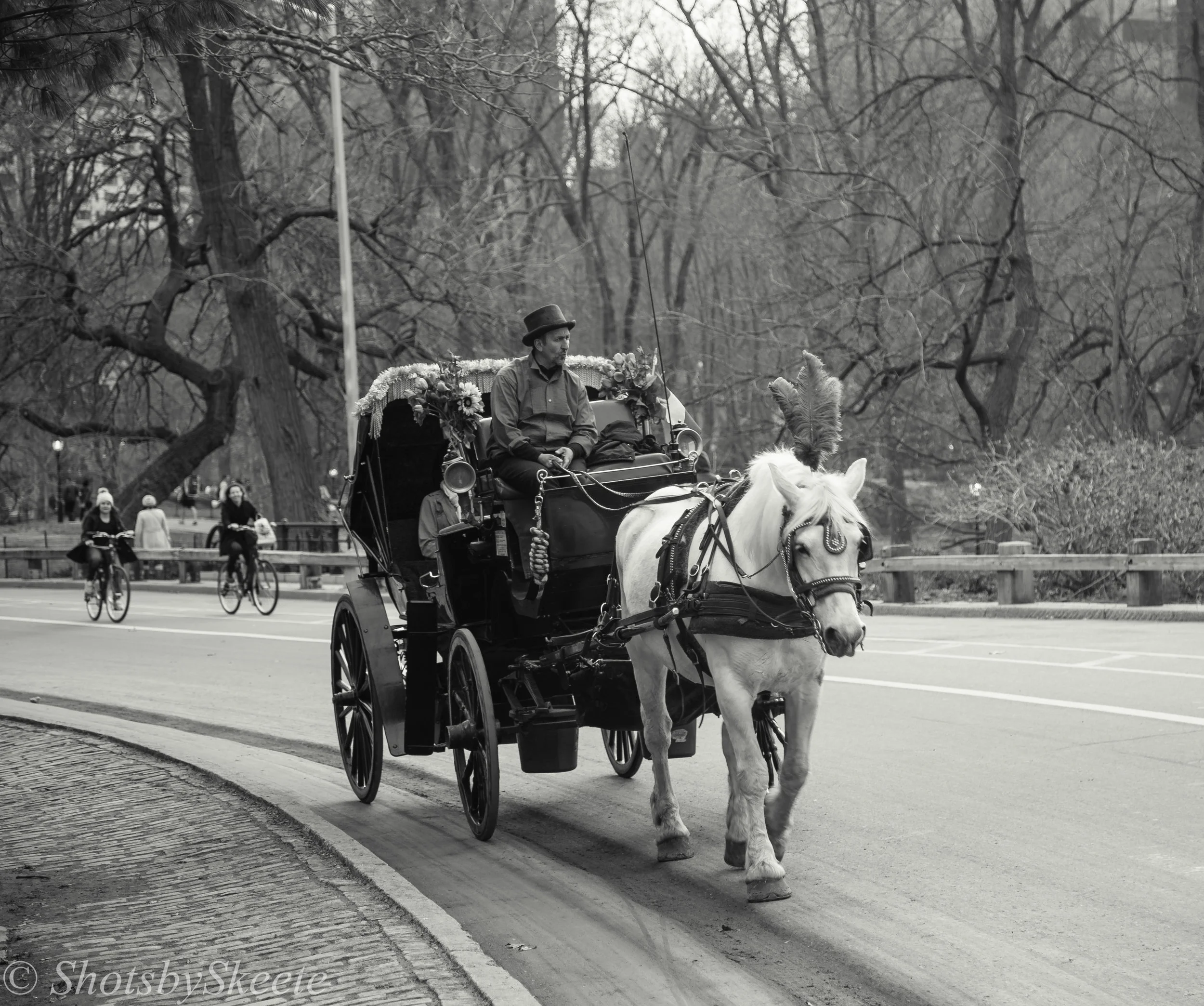 Central Park-8.jpg