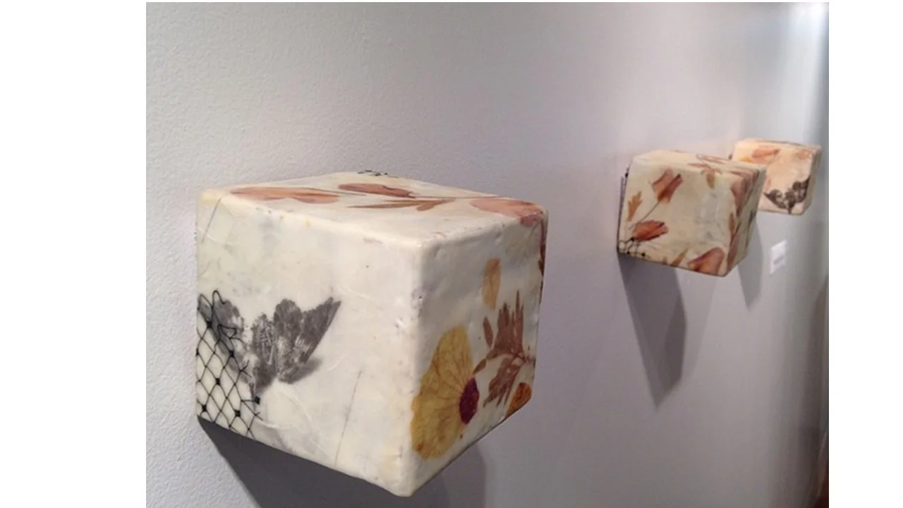 Suzanne Shield-Polk