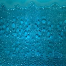 Sequoia Blue Green 