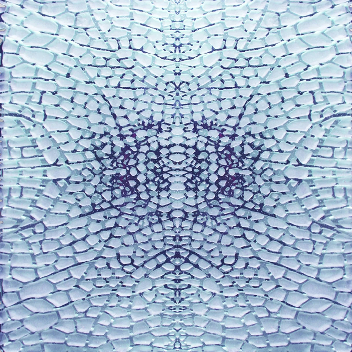 Biomimetic I Blue/Lavender