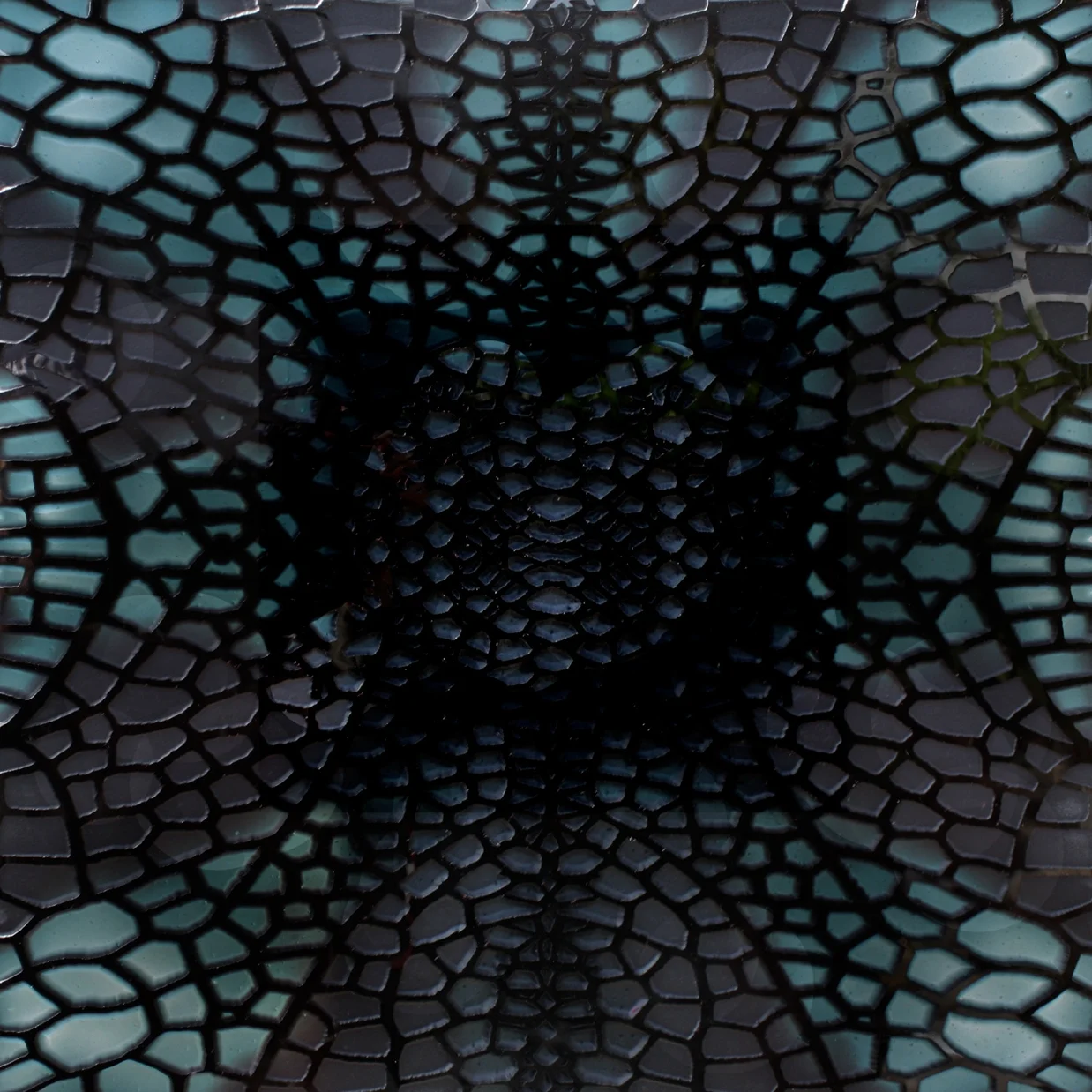 Plasmodesmata Invertebrate