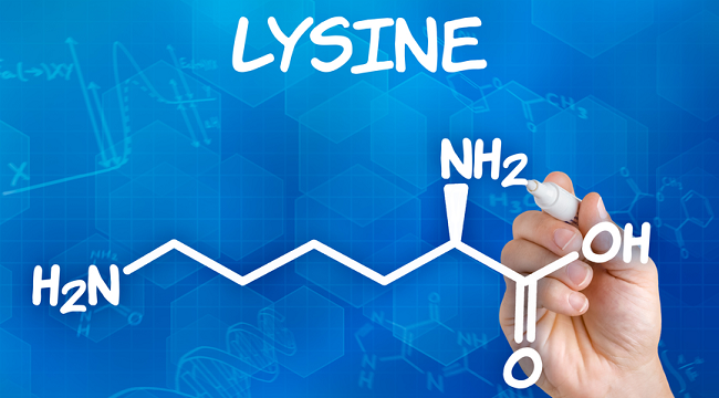 We then added Essential amino acids known for their role in protein metabolism, healing, repair and anti-viral properties, such as with Lysine. L-Lysine plays a major role in calcium absorption ; building muscle protein; recovering from surgery or sports injuries; and the body's production of hormones , enzymes , and antibodies .