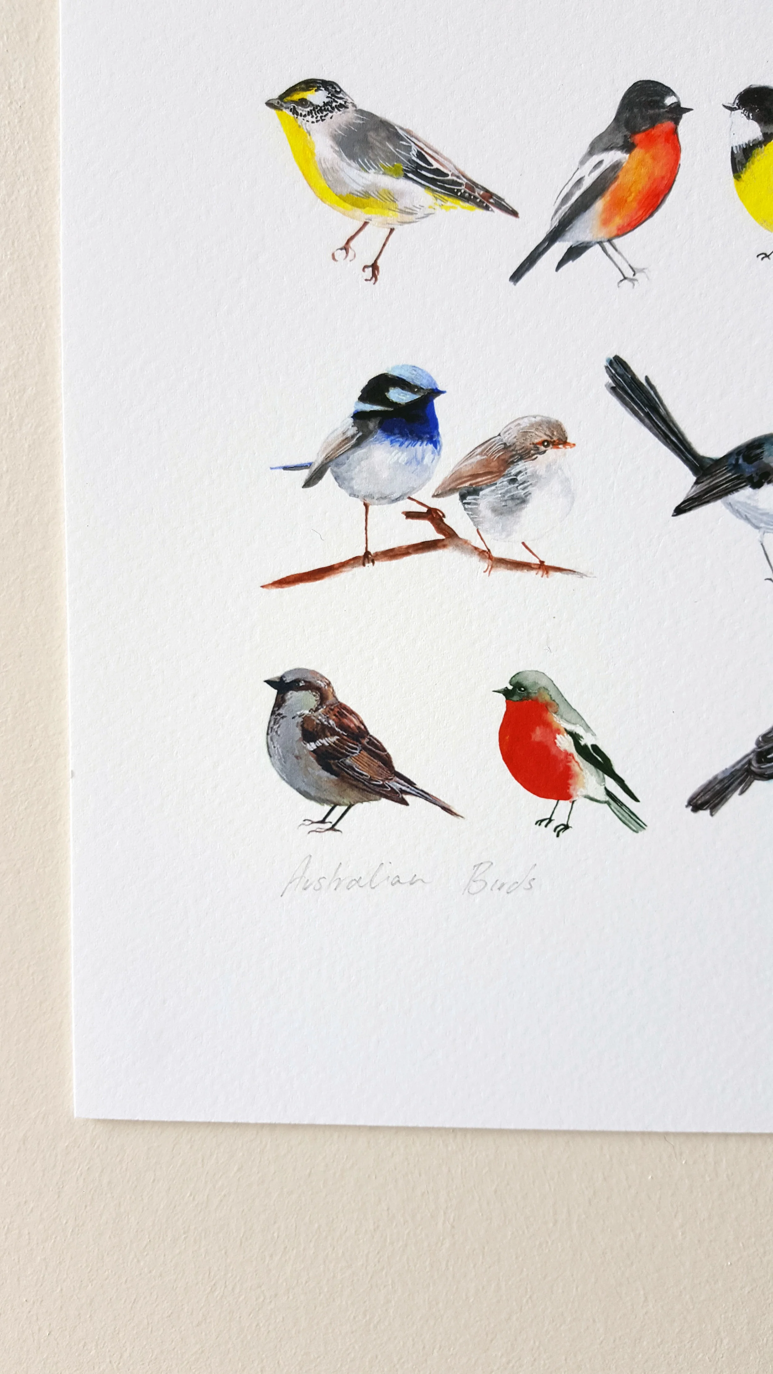 Bird Montage Details - Resized.jpg