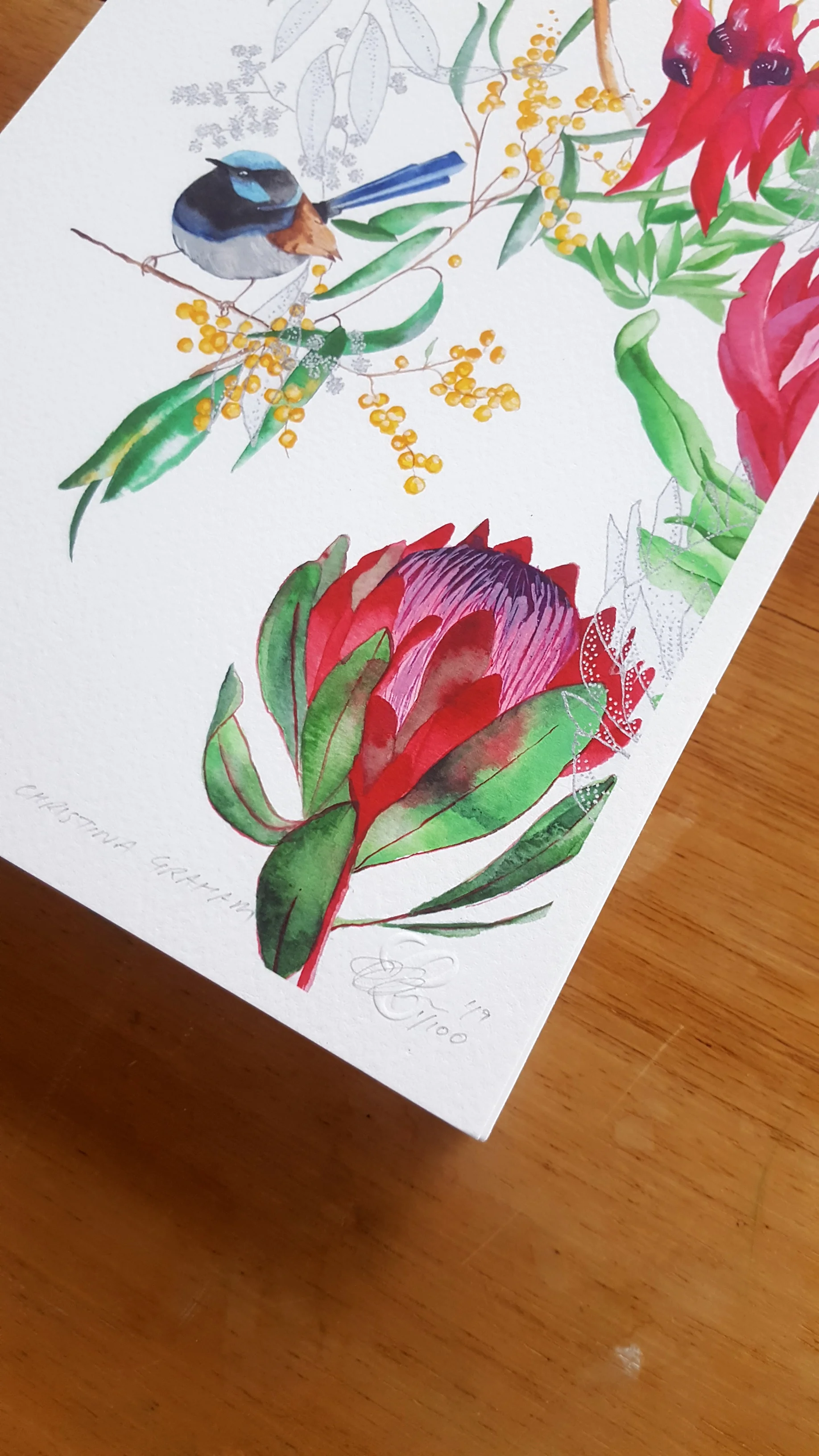 Illustration - Fairy Wrens - Protea Website Images 1.jpg