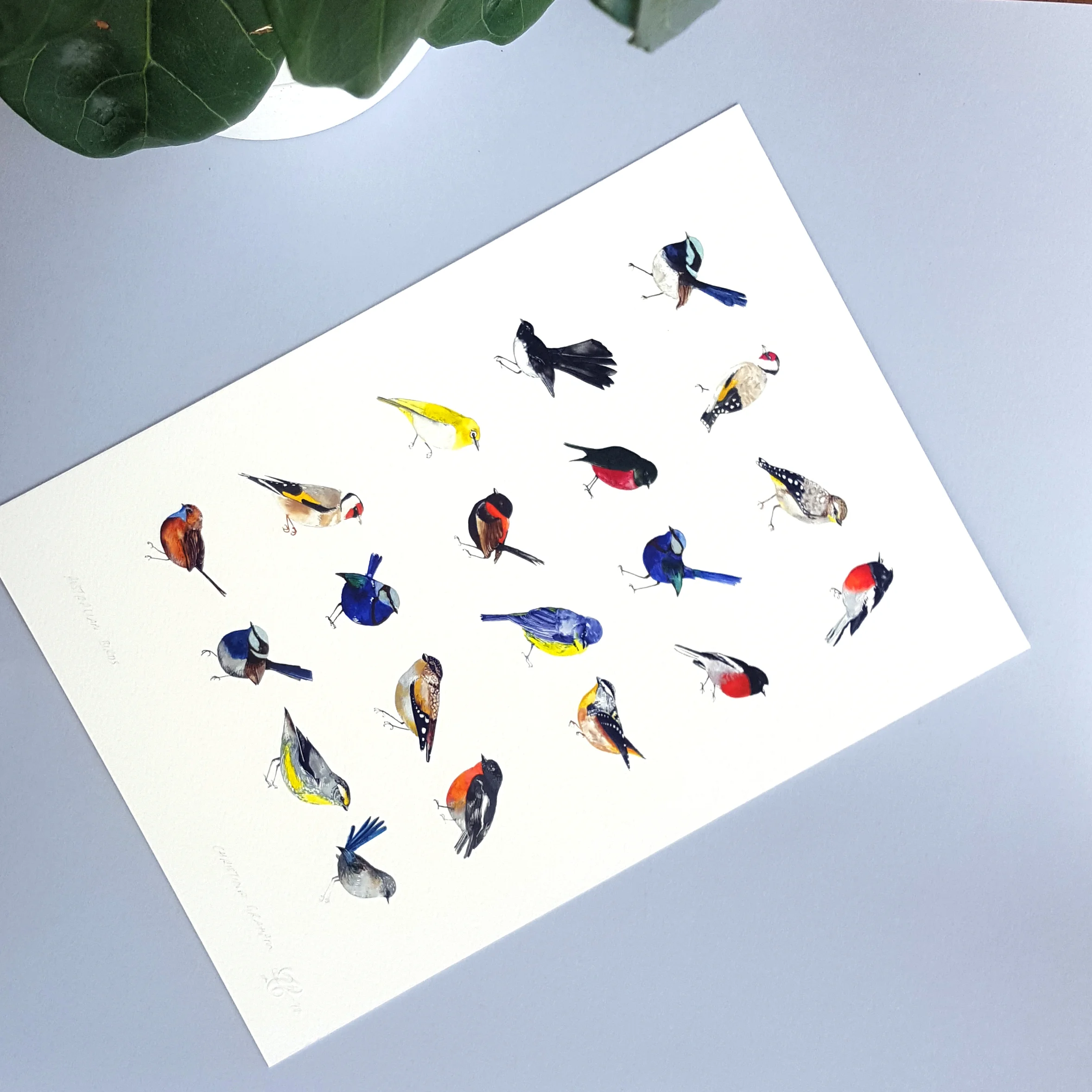 Illustration - T Birds Details 3.jpg