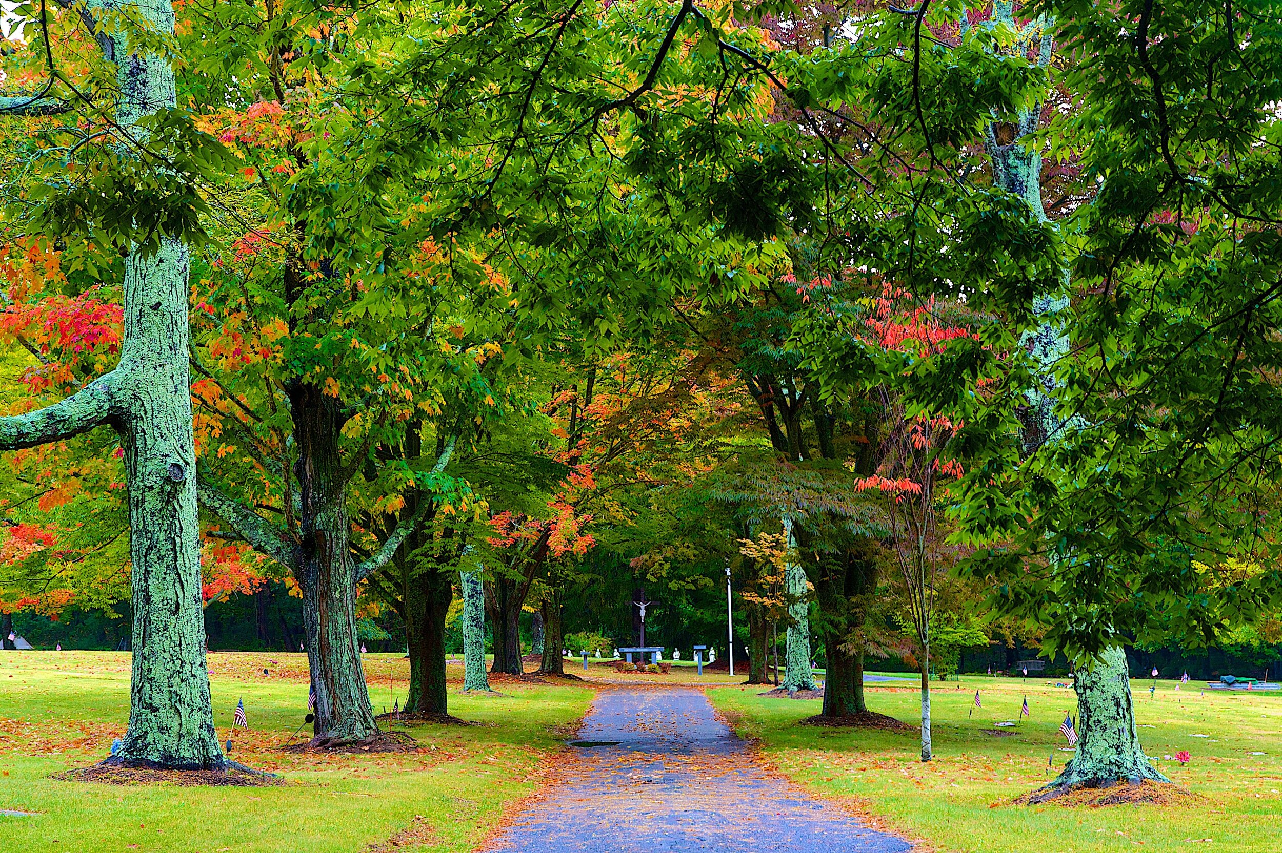 Cemetery photo.jpg