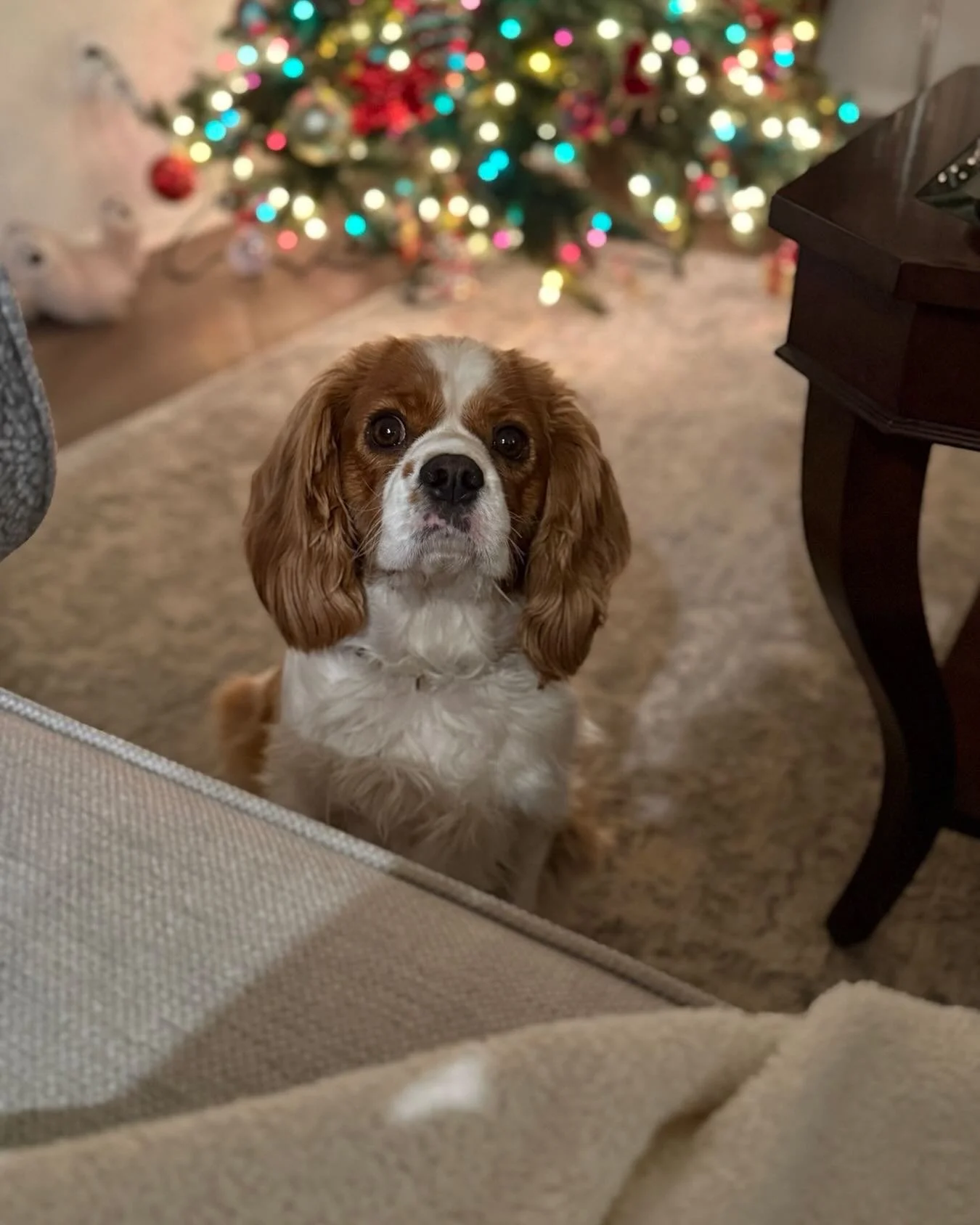 Not sure what she wants. she won&rsquo;t stop staring - not like her at all. #emgtravelgirl