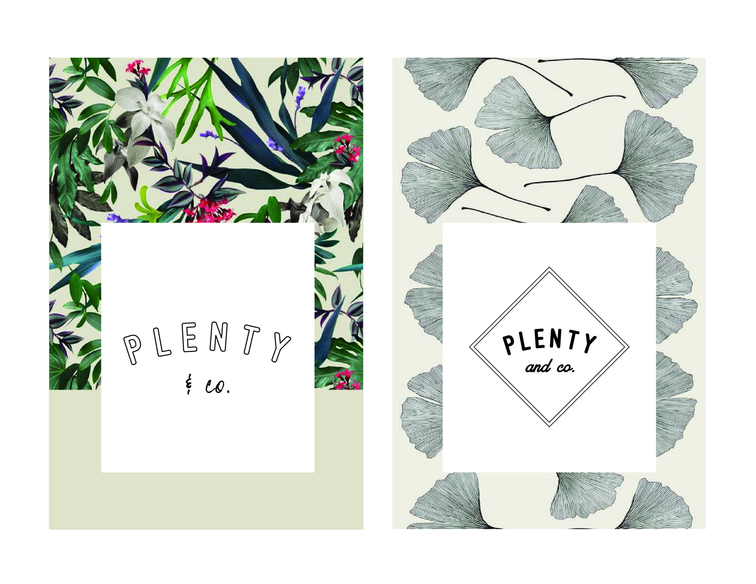 Plenty & Co_Brand Test_WEBSITE-04.jpg