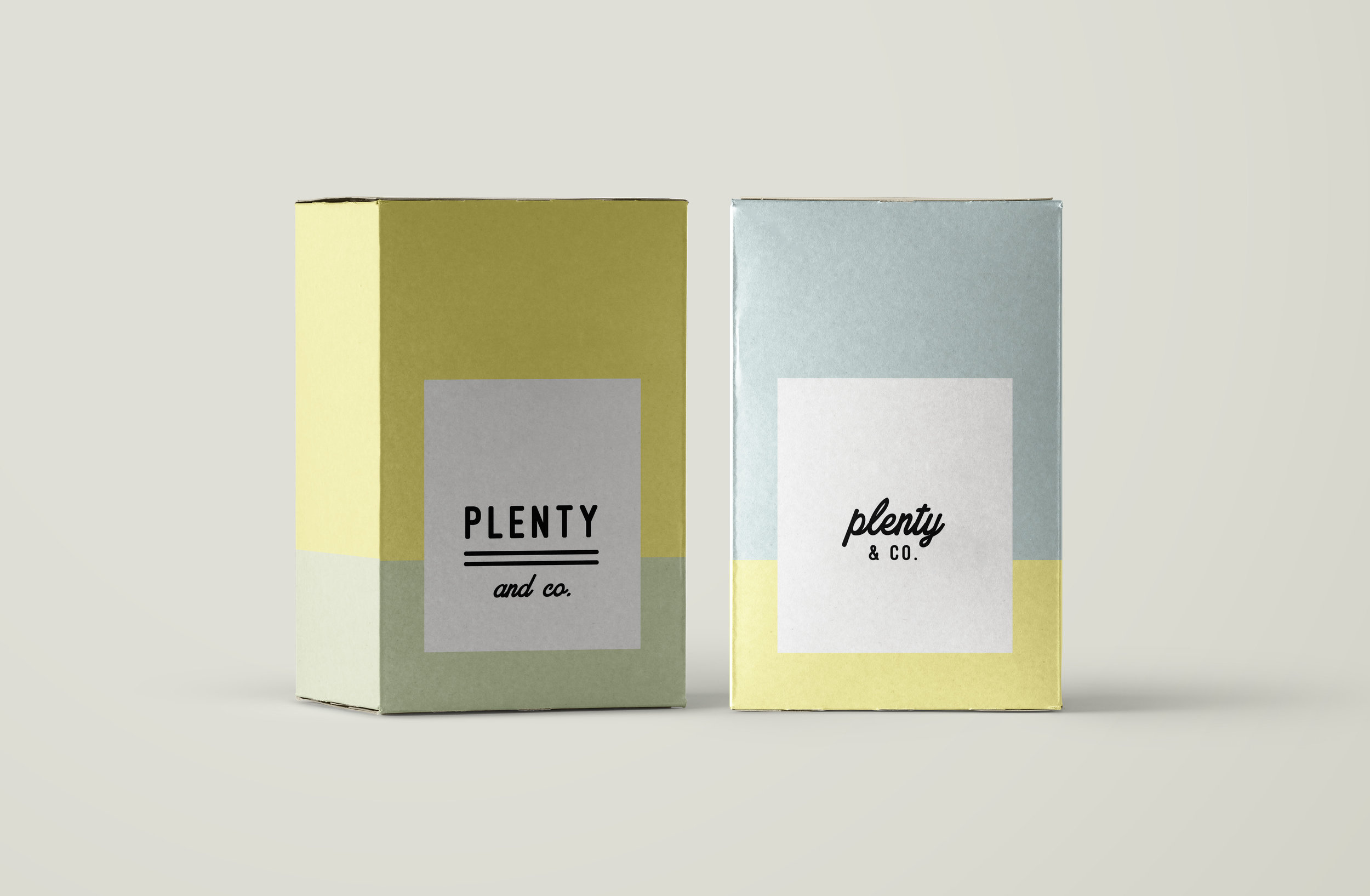 Plenty Package.jpg