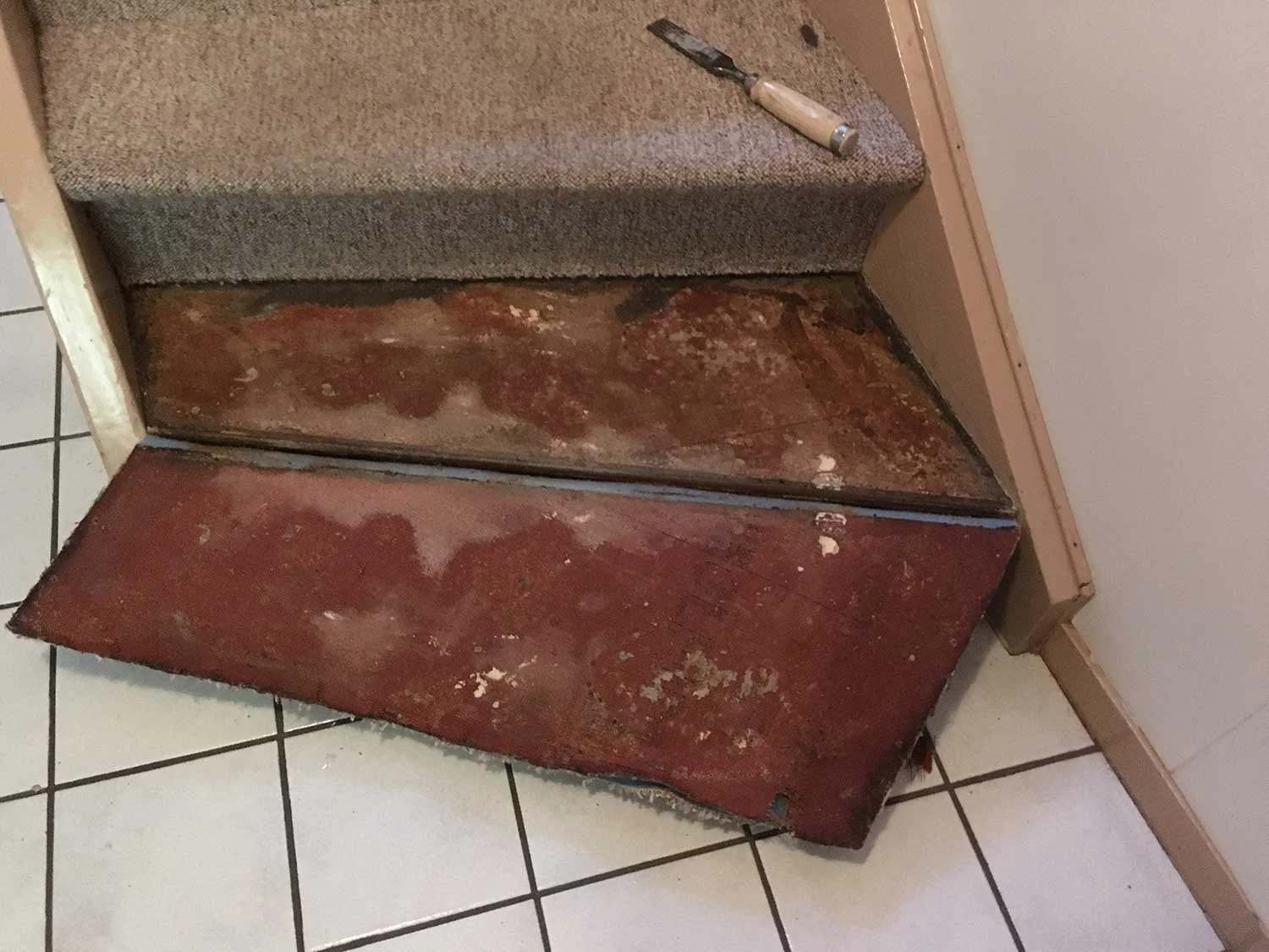 Teppið rifið af, rautt teppalím undir