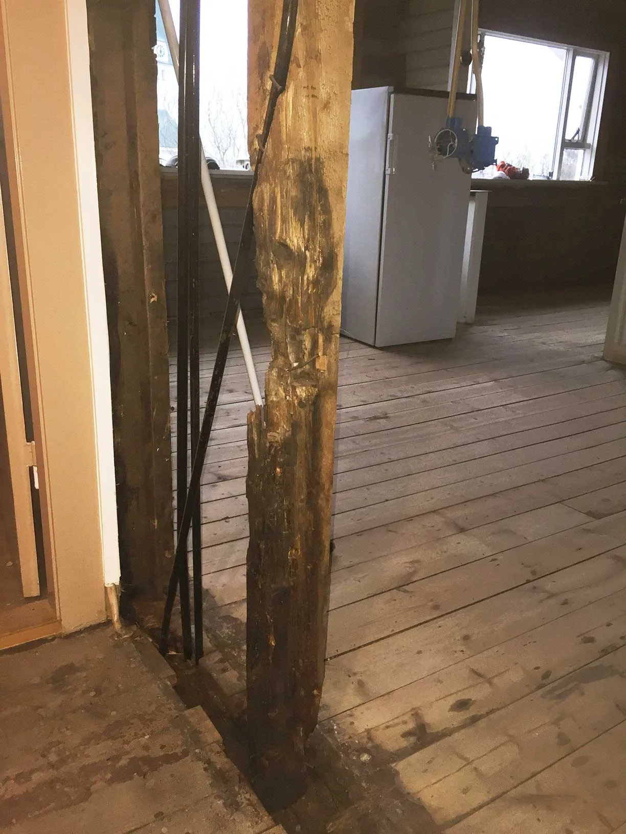 Fúi í bitum og gólfborðum