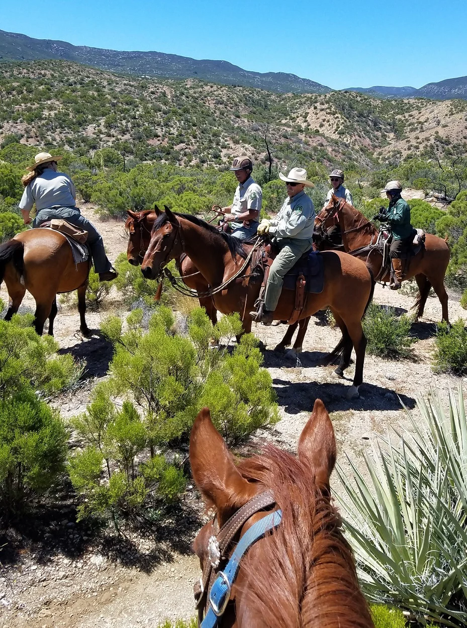 Refresher Training 2017, Trail Ride