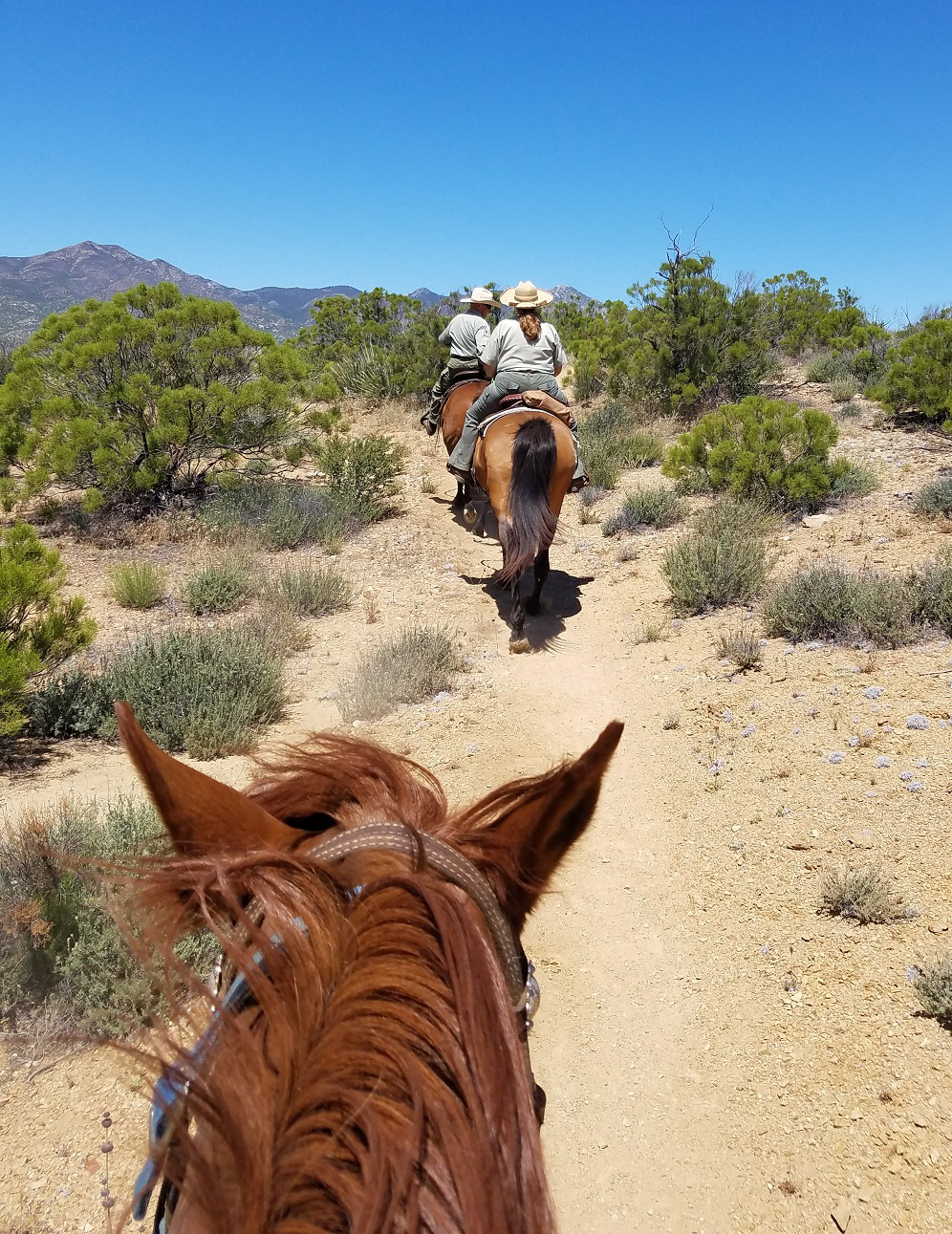 2017 Refresher Training, Trail Ride
