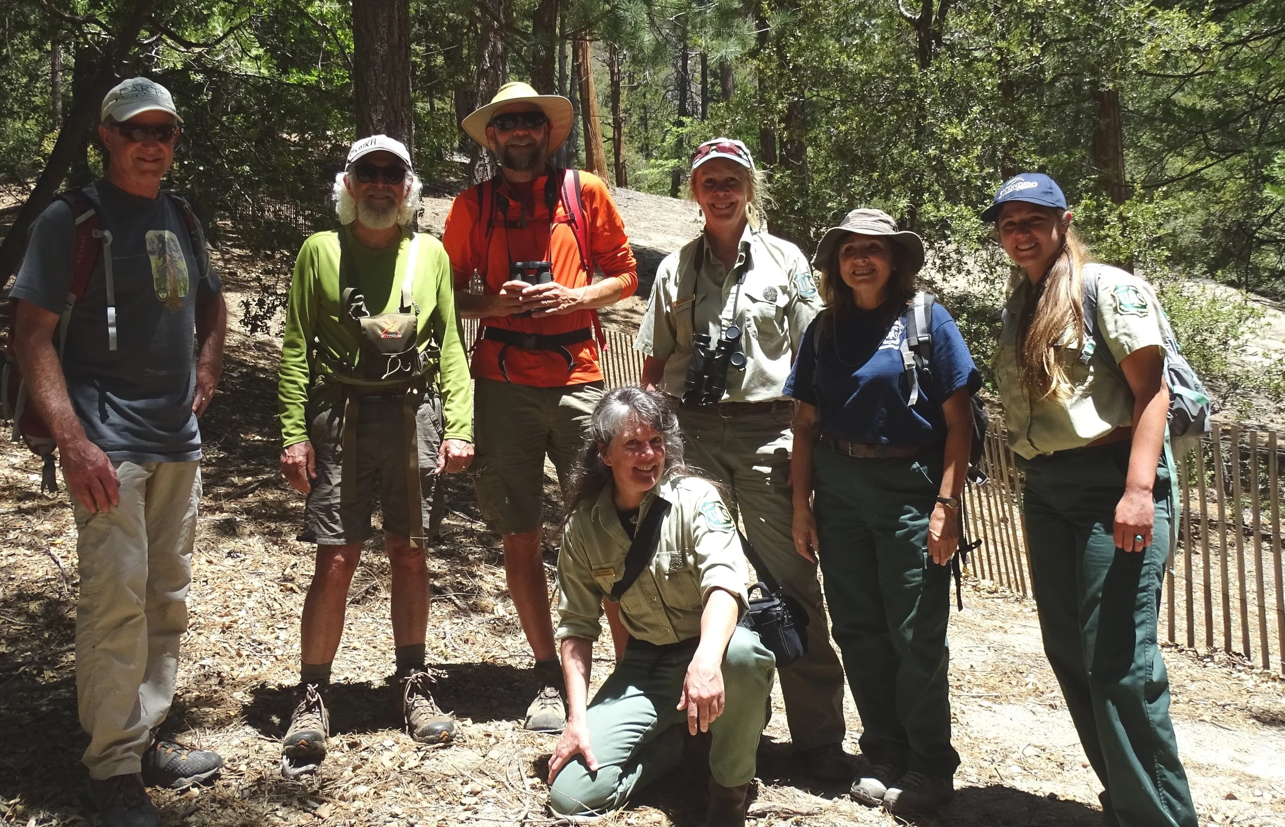 Discovering Mountain Yellow-legged Frogs in Dark Canyon