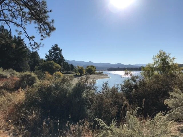 LakeHemet Birding 2019-1.jpg