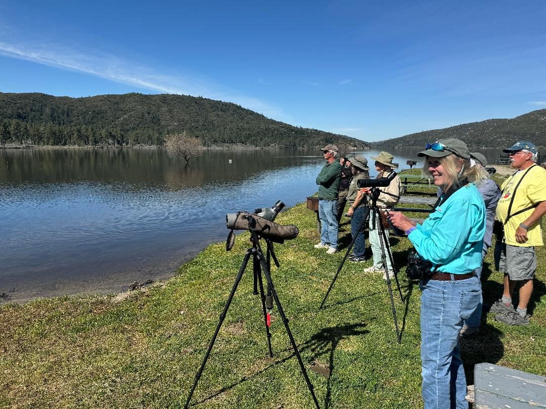 Bird Walk at Lake Hemet & Garner Valley