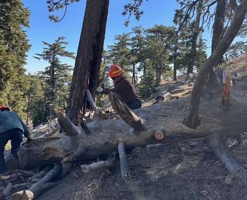 K Cadieux w5-7v From Tahquitz Creek south on the PCT trail maintenance, May 28th to June 4th. Want to join? Contact Kevin Cadieux.