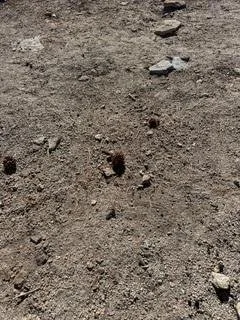 Gone!
