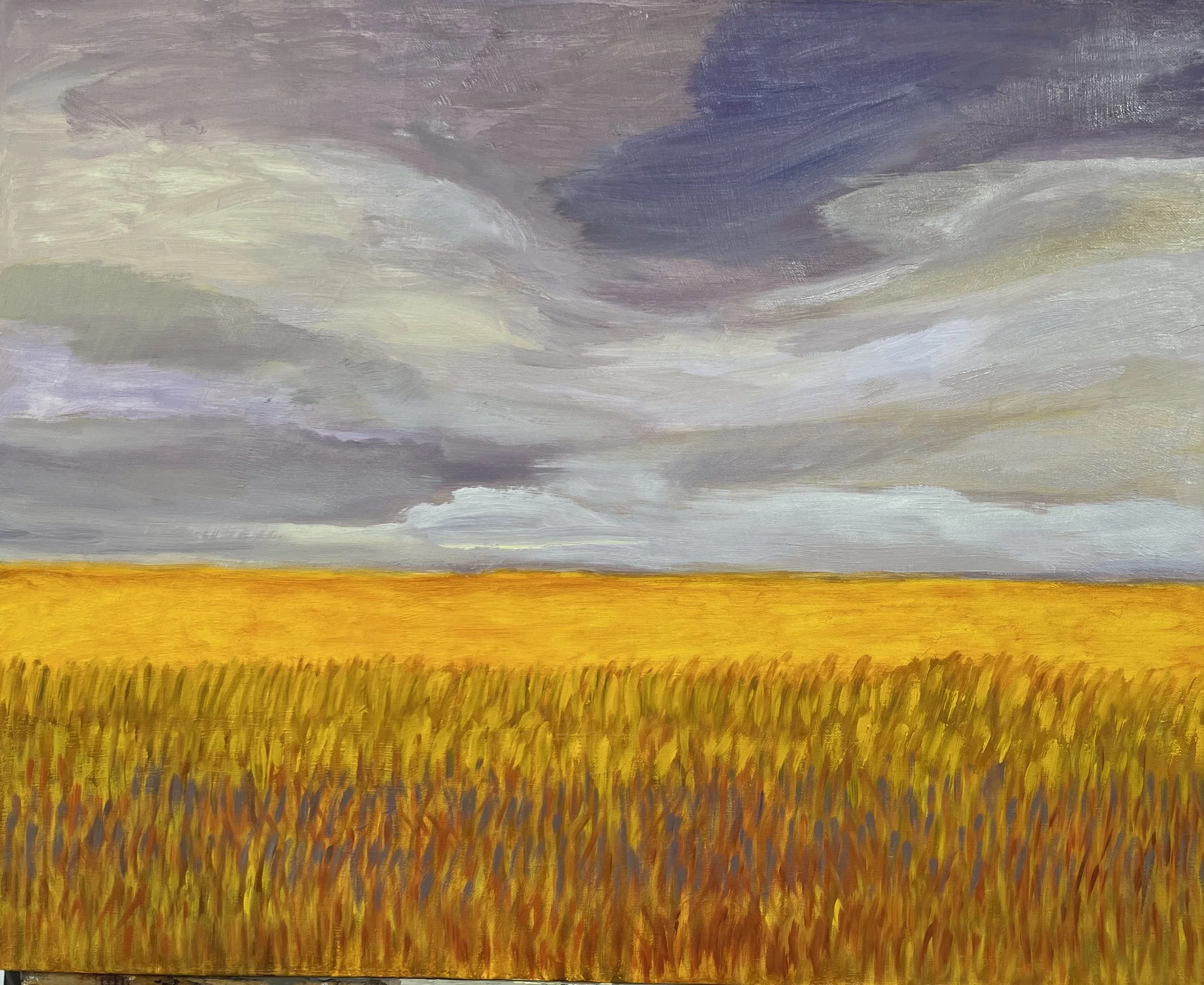 Prairie Series II, oil on linen, 24" x 30"