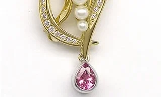 Visitor from Mackay & a Broach