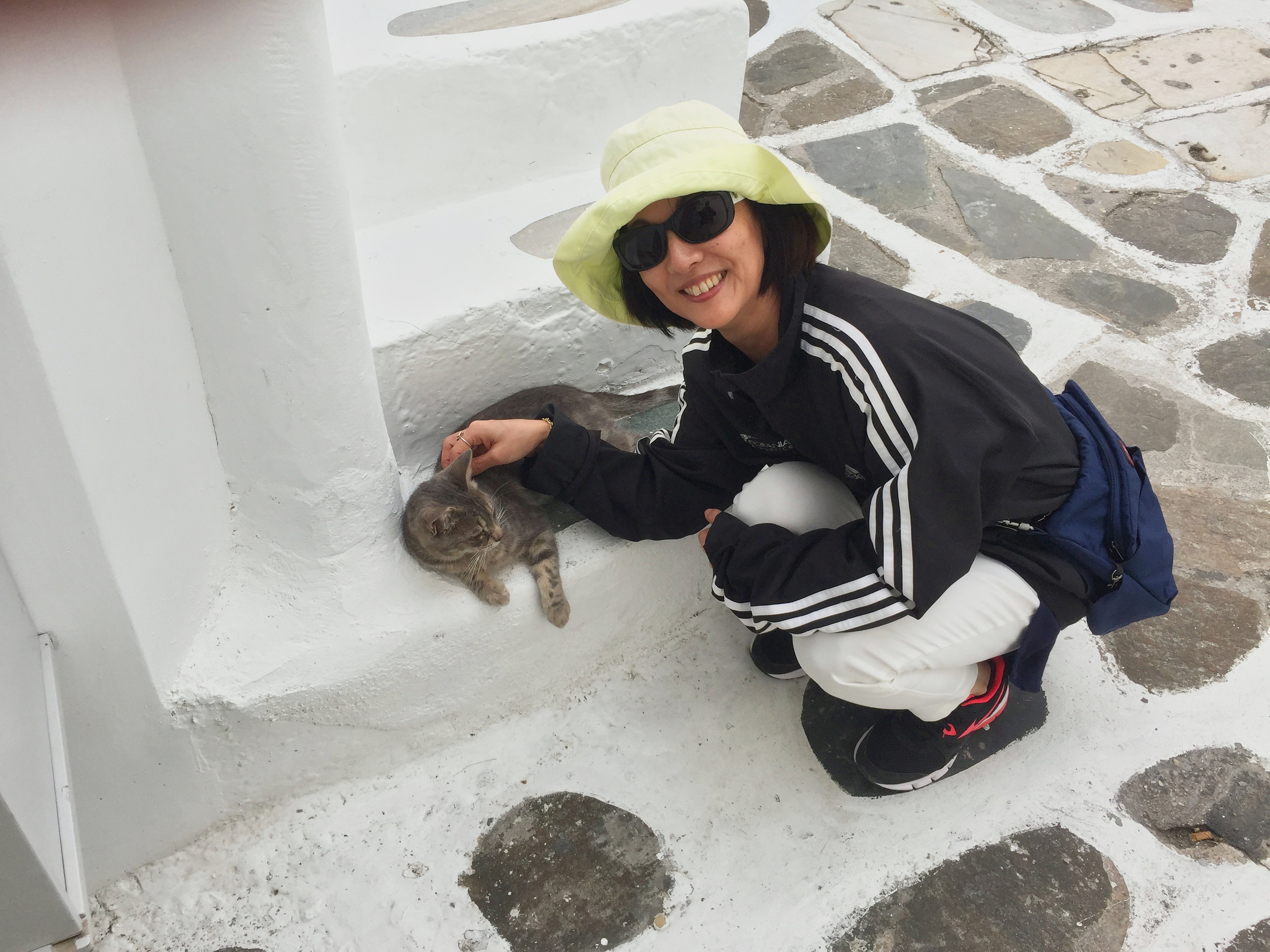  The Mykonos cat.  Yumi tried to find a cat in every place we visited. 