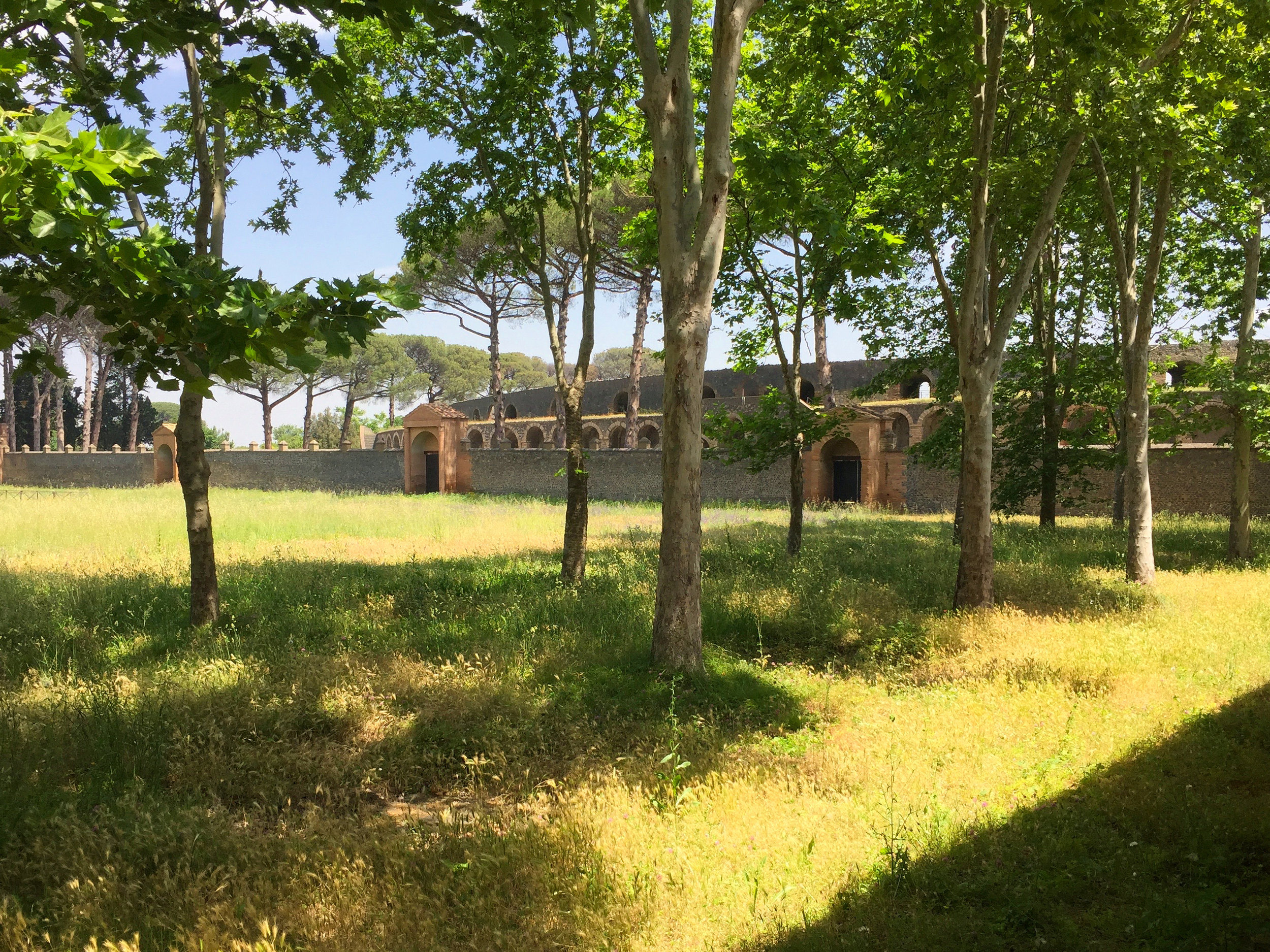 At the time of the eruption this was a community picnic area.