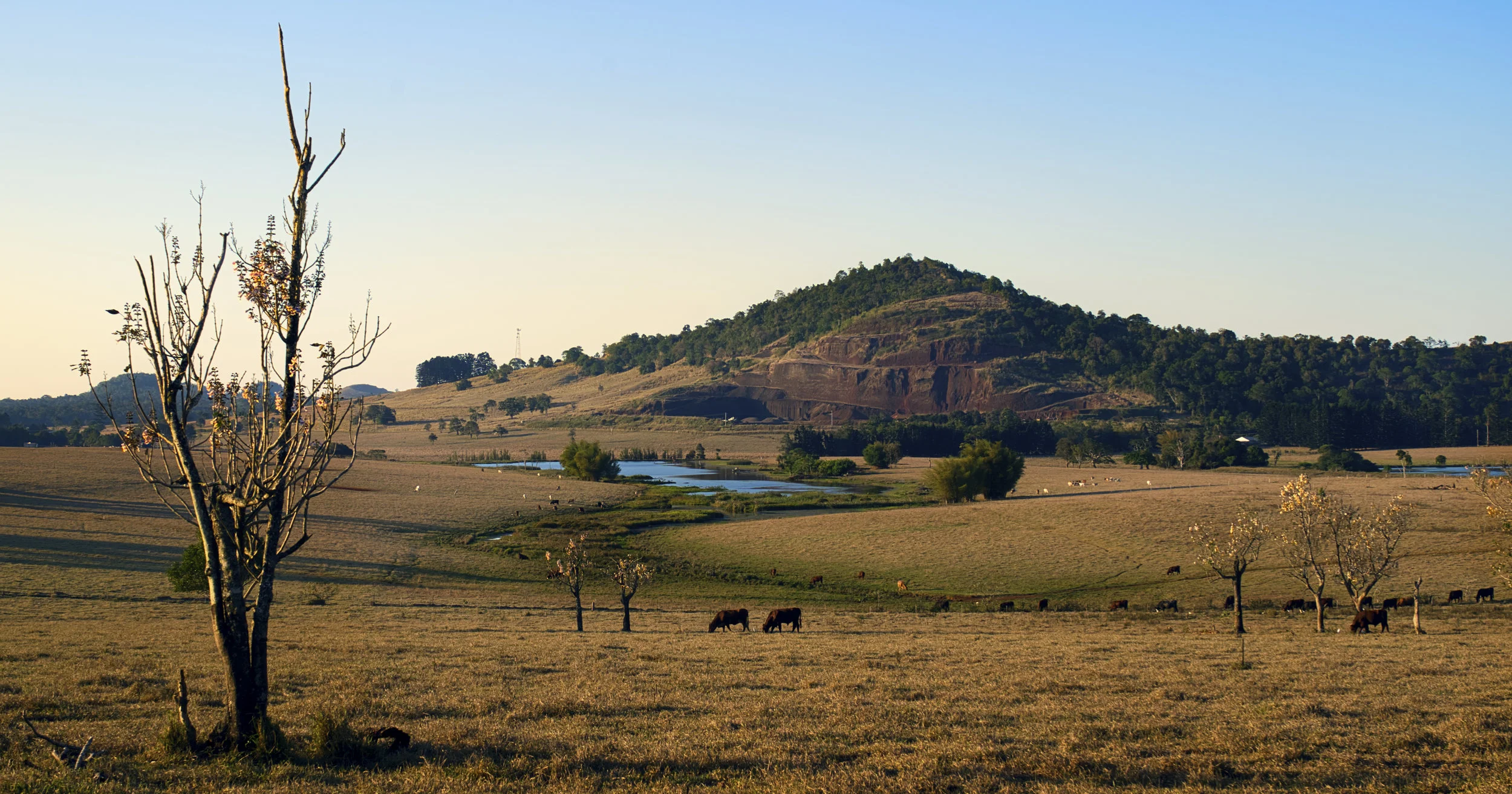 Foxwell Rd looking back to Yungaburra Quarries.