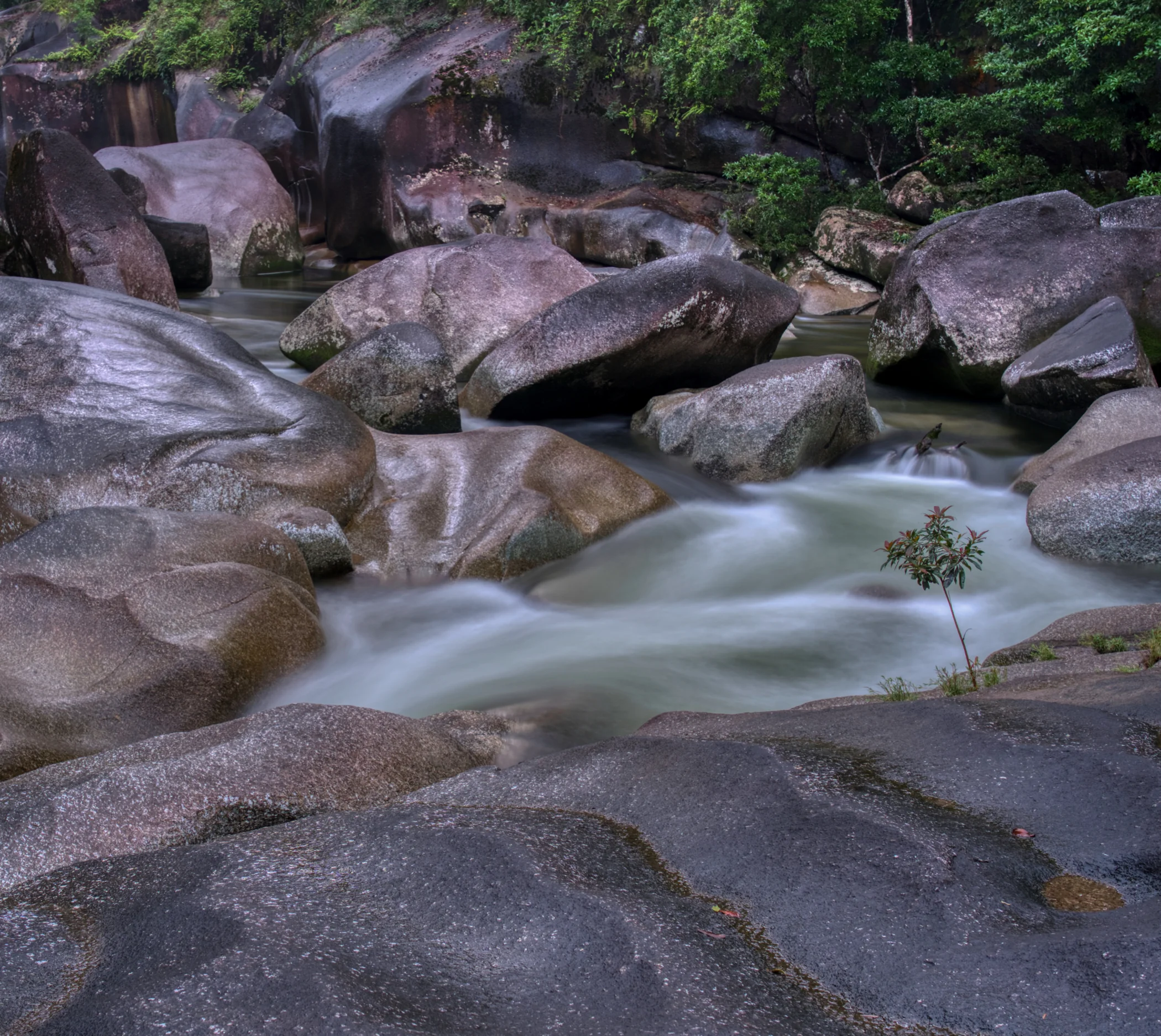 Devil`s Pool - Babinda Boulders