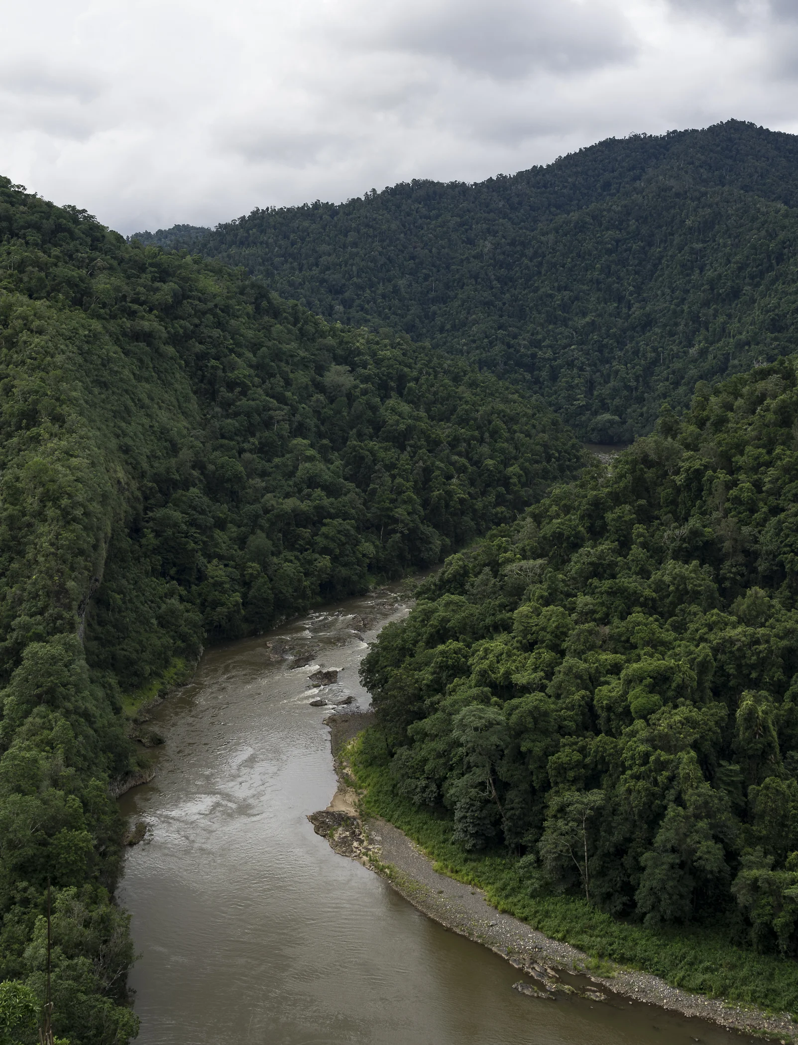 The view you get after walking the path. Yes, rainy days again in the rainforest :(