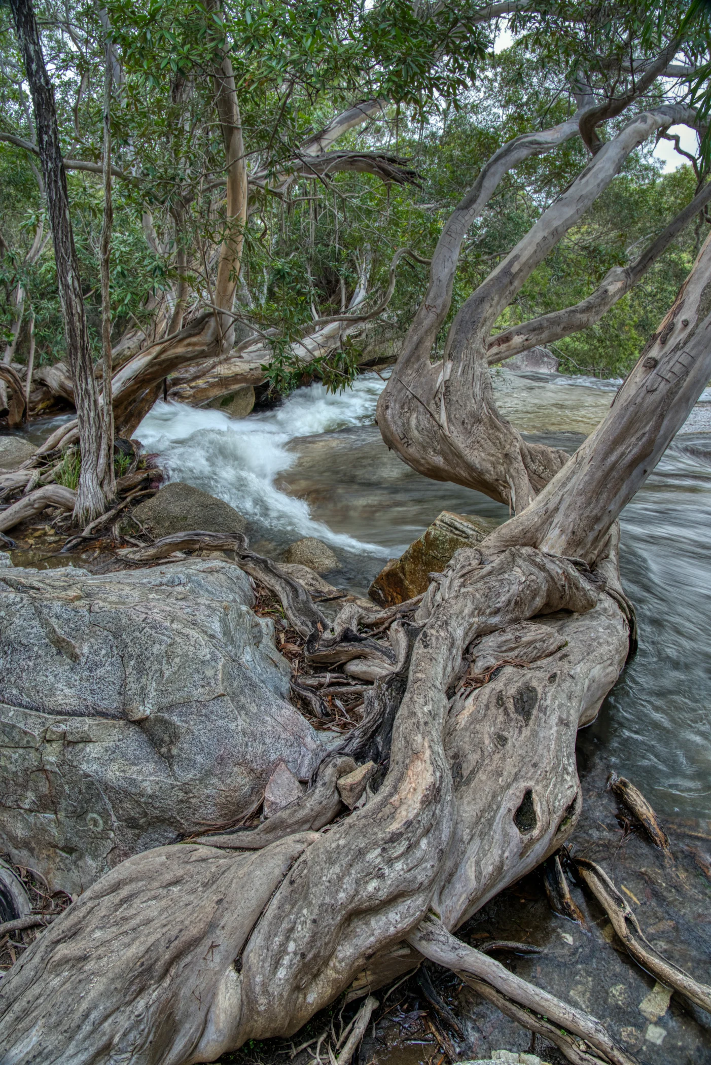 Emerald Creek/Falls - Mareeba Shire
