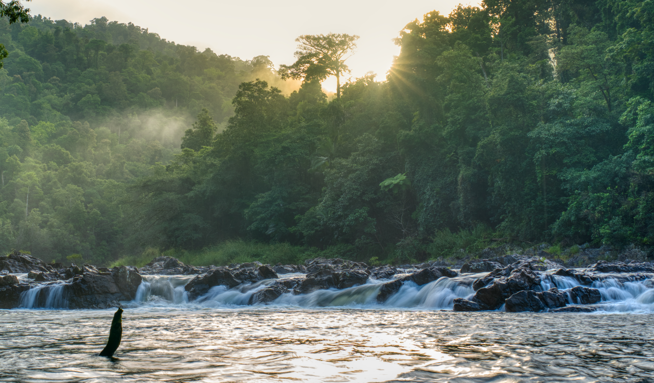 North Johnstone River