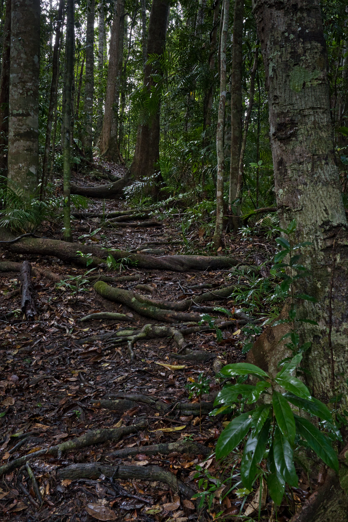 Much of the track is uneven.