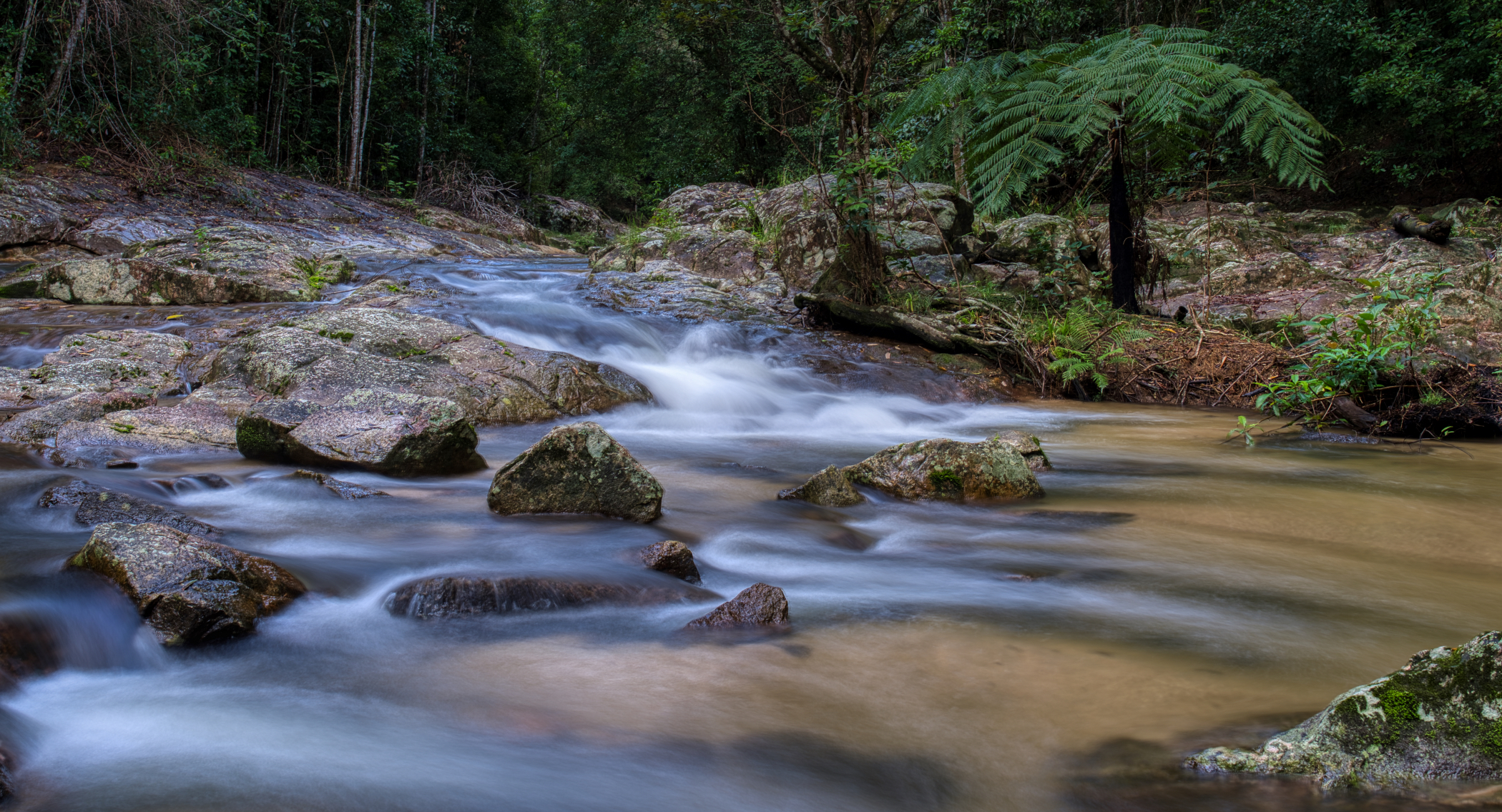 Kauri Creek just down from the carpark.