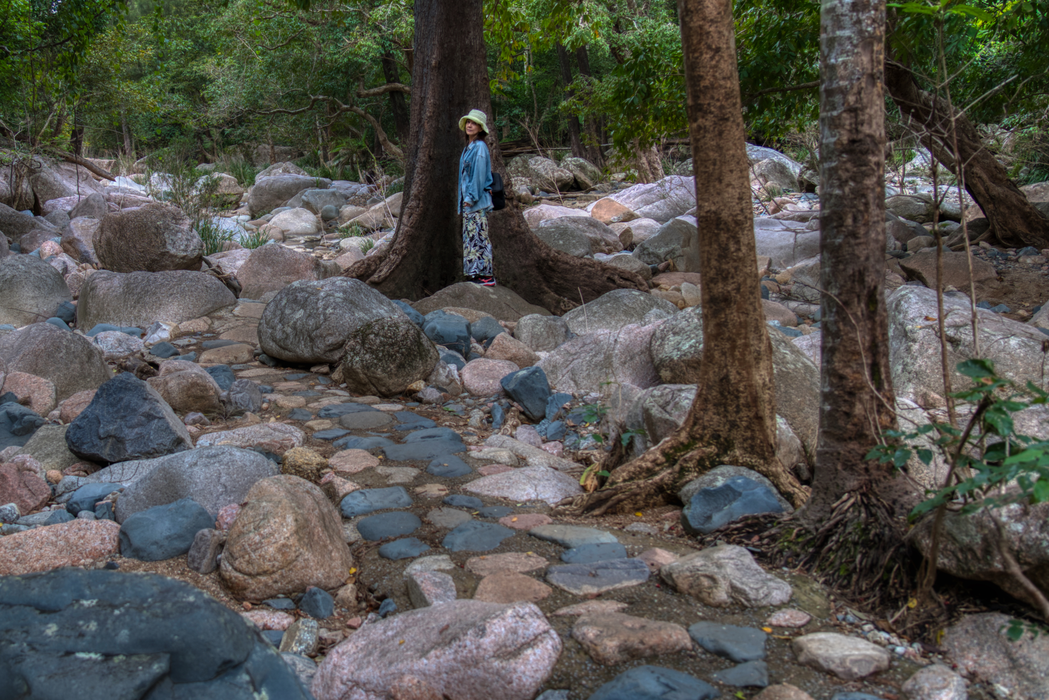 Walking the path back to the carpark just ahead of the rain.