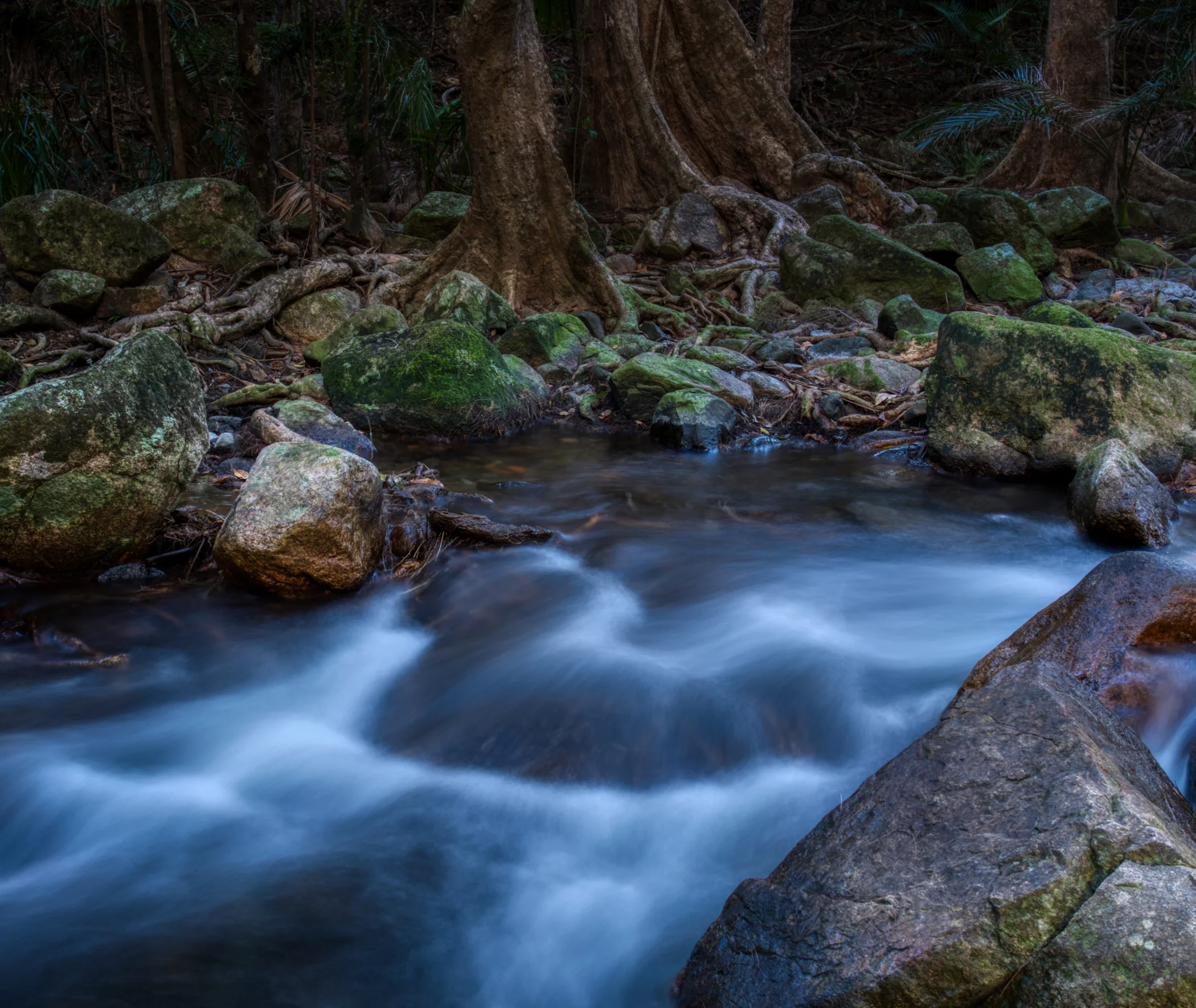 Jourama Falls - Munan Gumburu (Misty Mountain - Paluma Range)