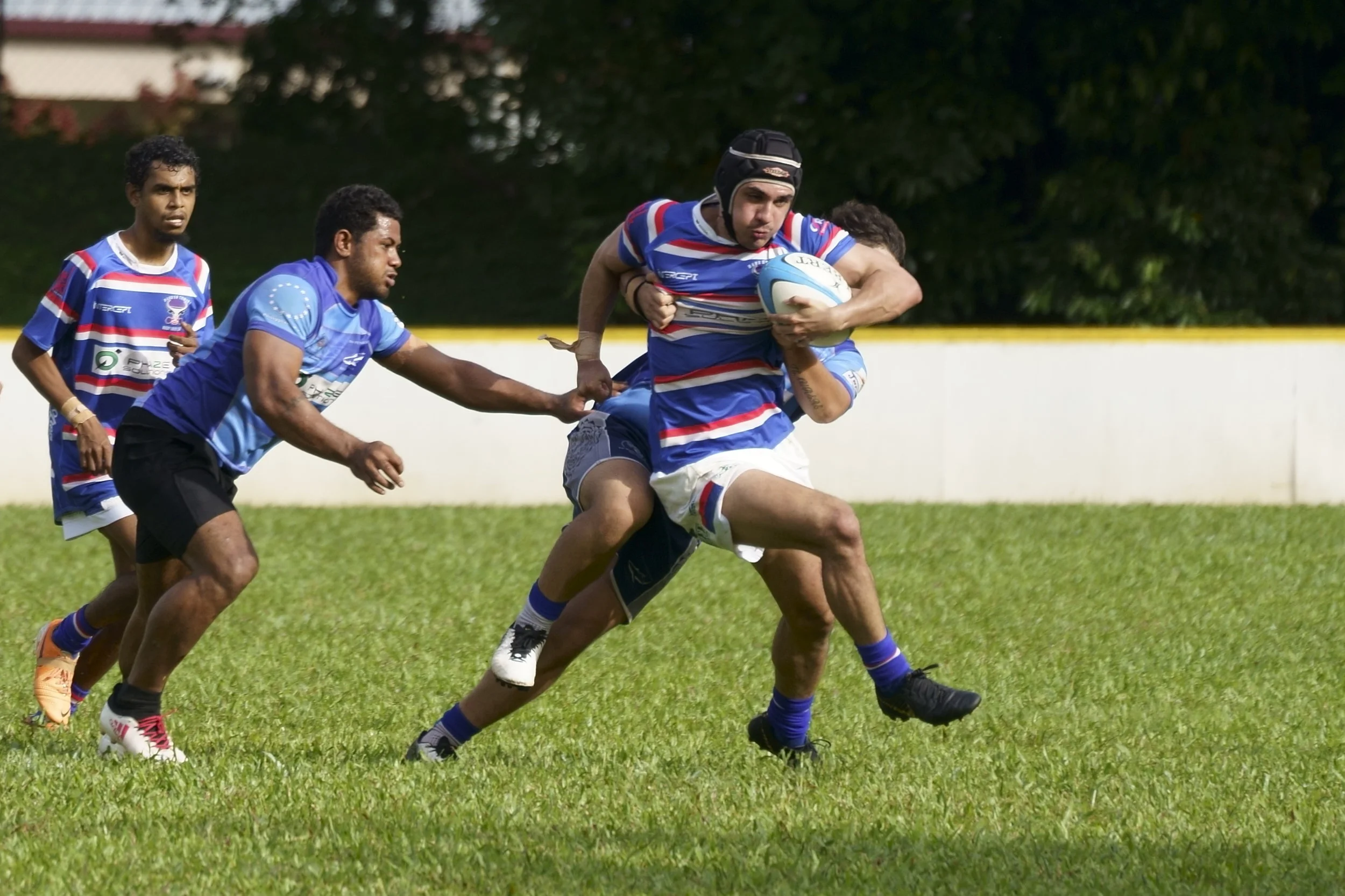 Barron Trinity Bulls