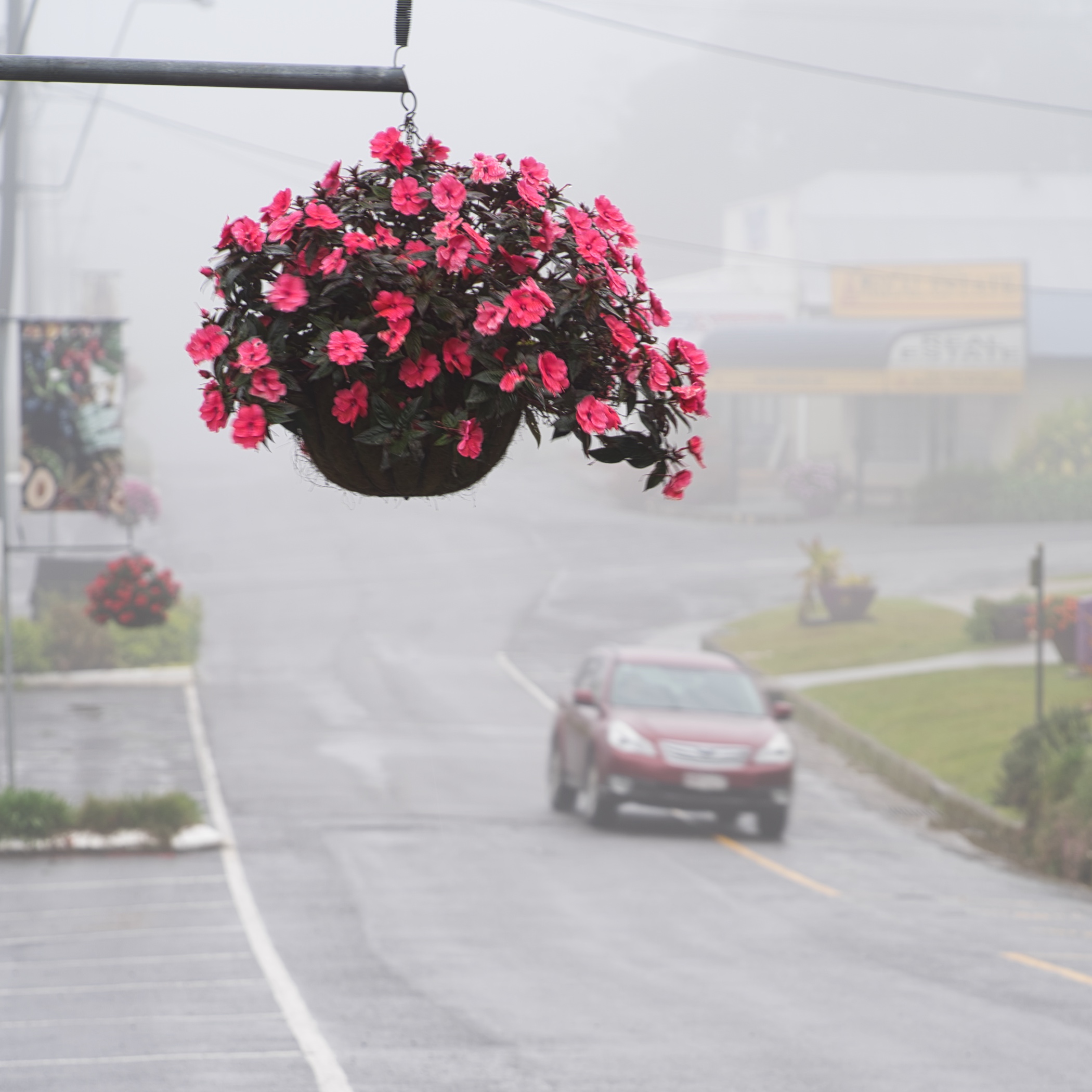 Main street of Milla Millaa 8am 06/07/2019