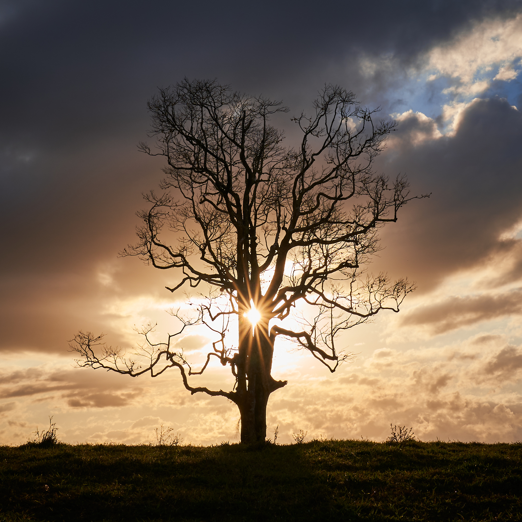As the sun lowers the colour starts to strengthen….. and the cow is gone.