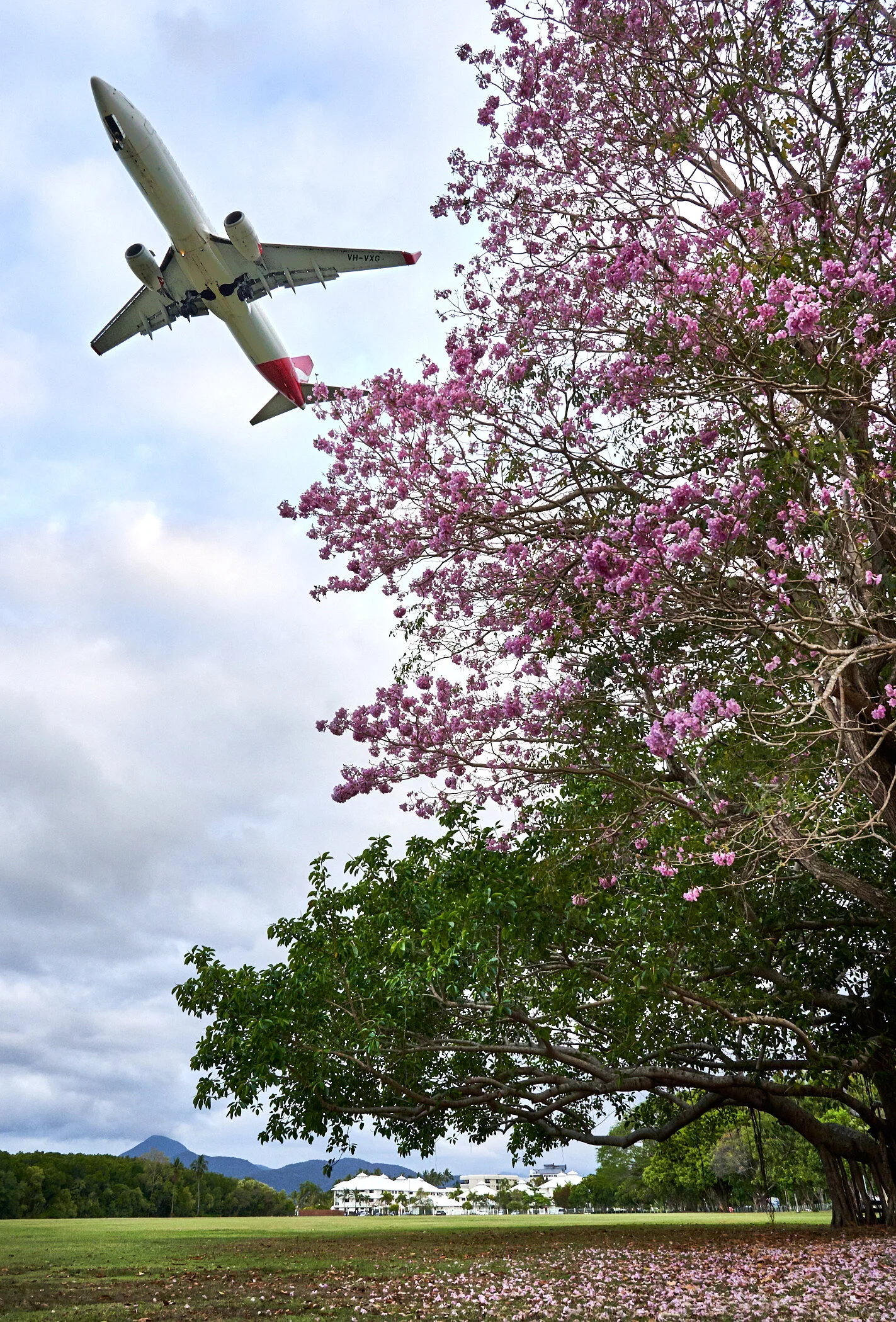 Qantas flight passing over parkland at the end of the Esplanade. October 2019