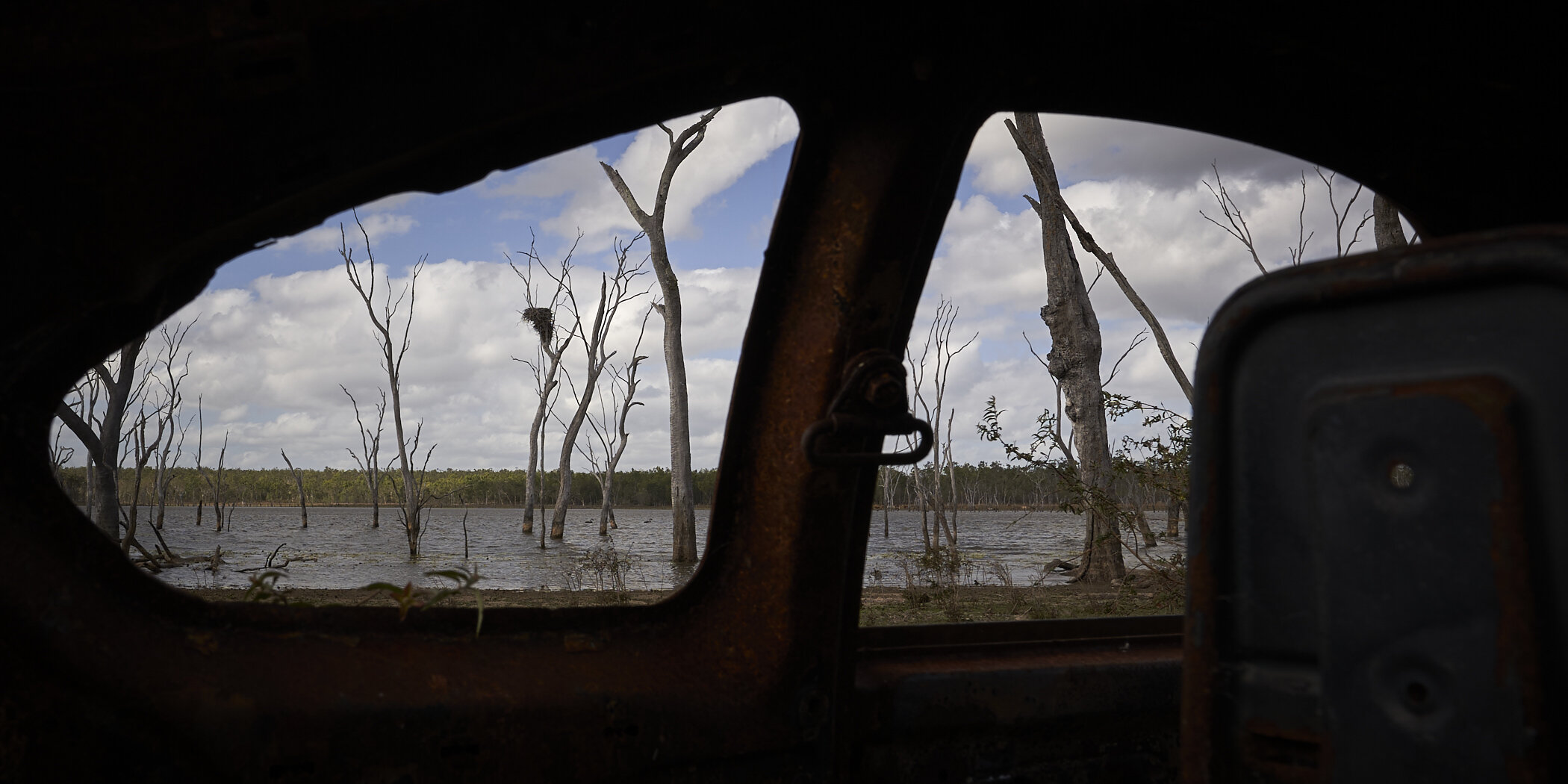 Drive by view of the Swamp
