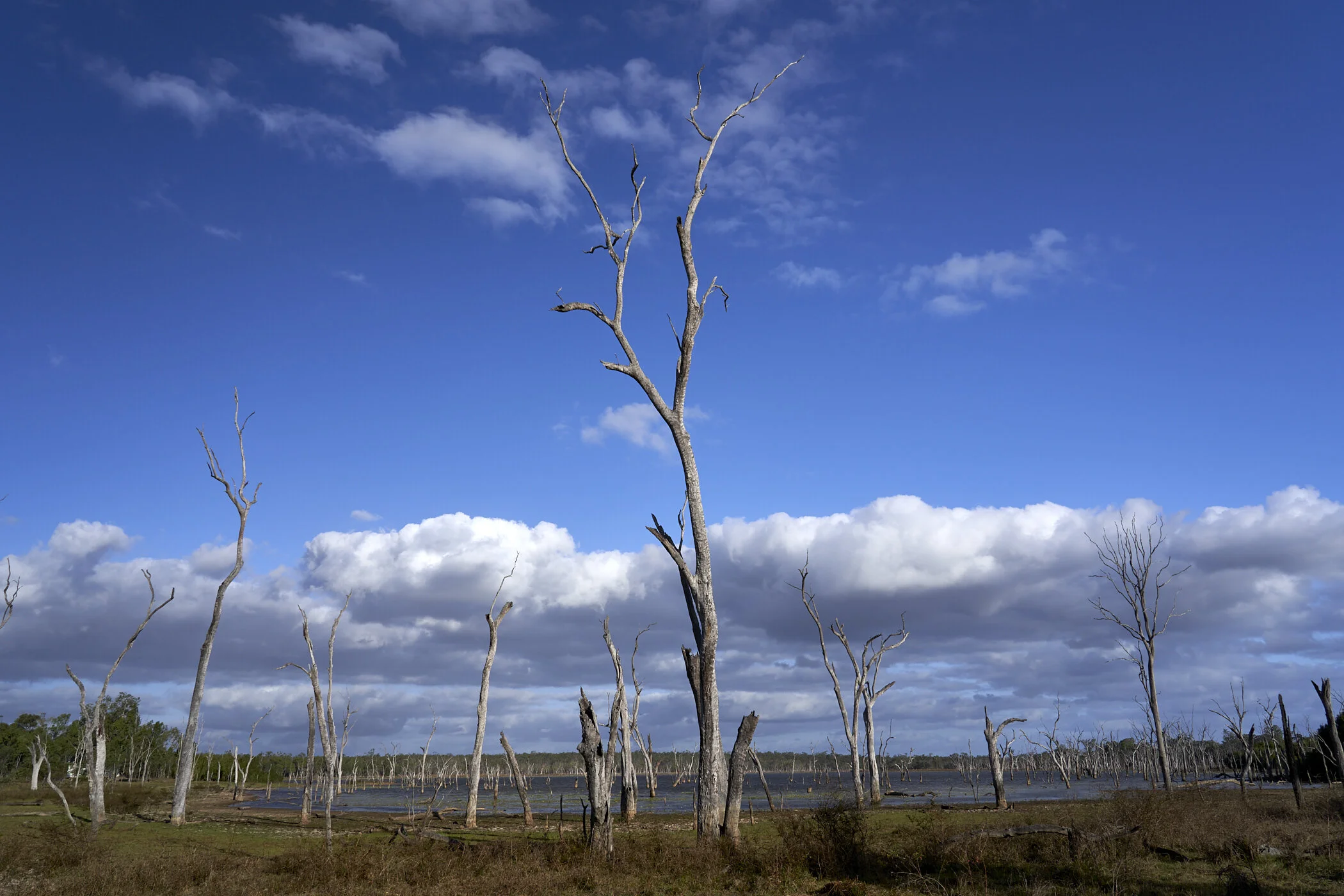The swamp that day late afternoon.
