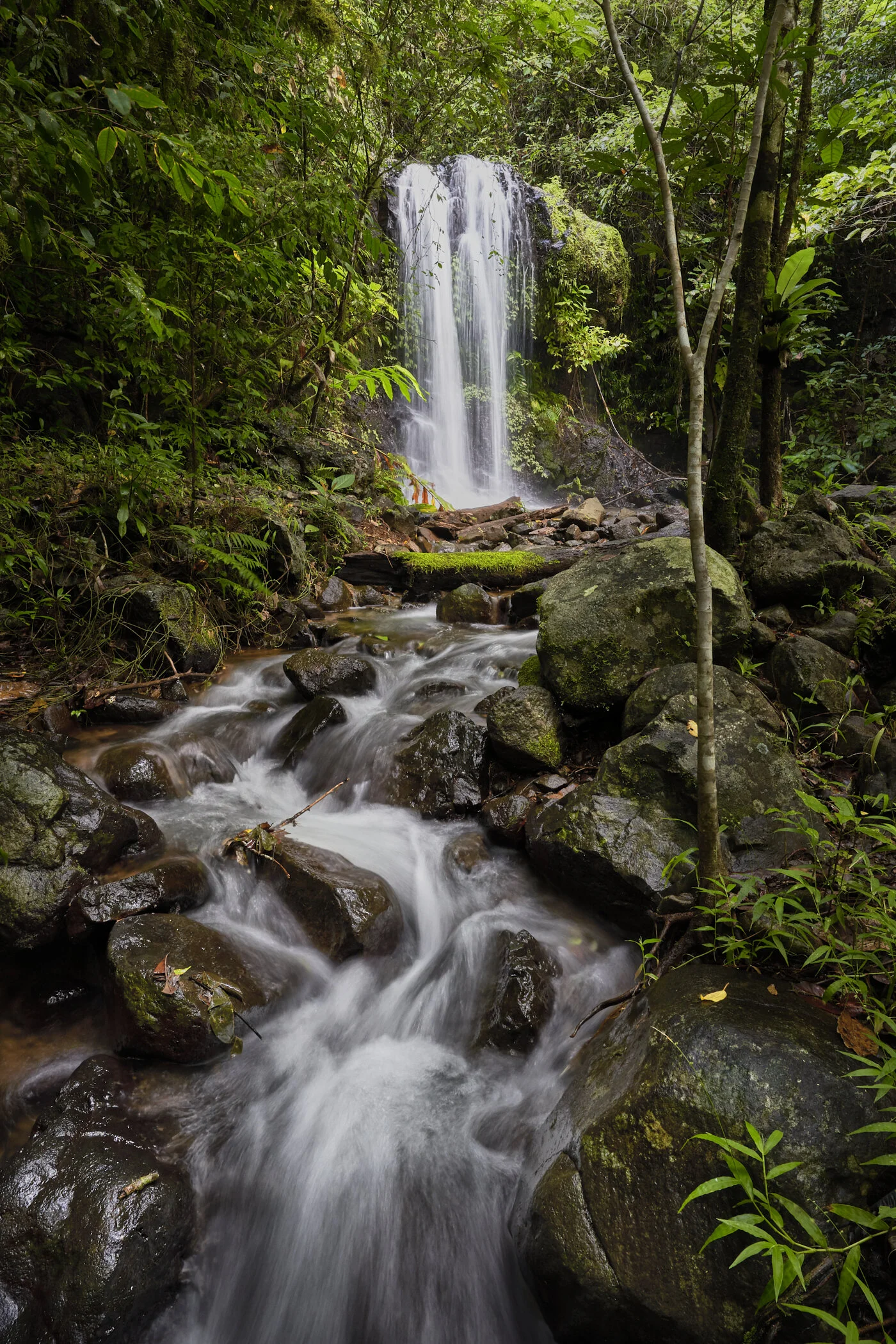 Silver Falls