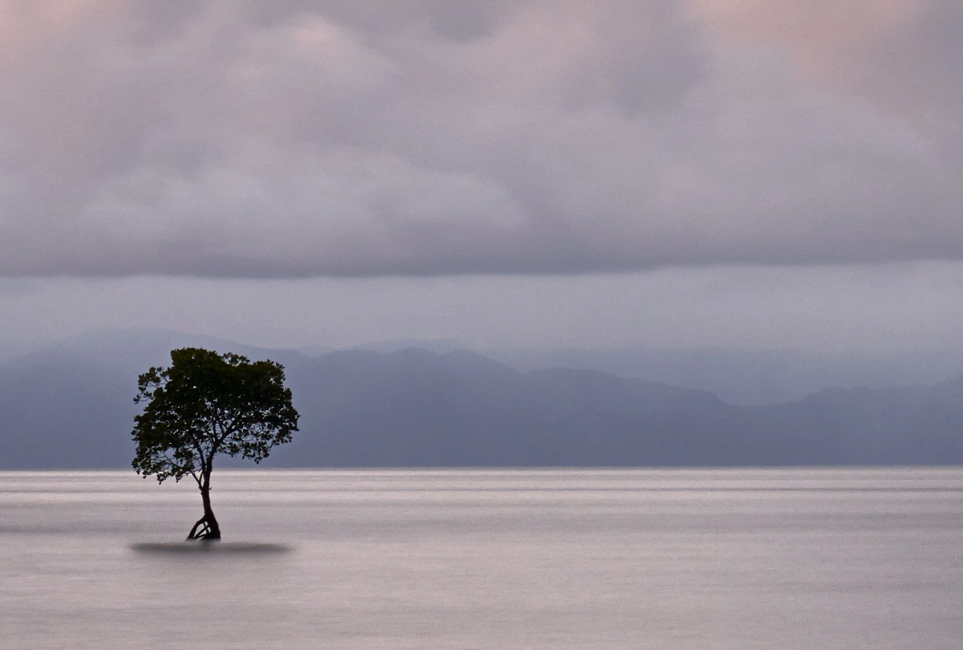 Favourite 12 photos of 2020 &amp; why